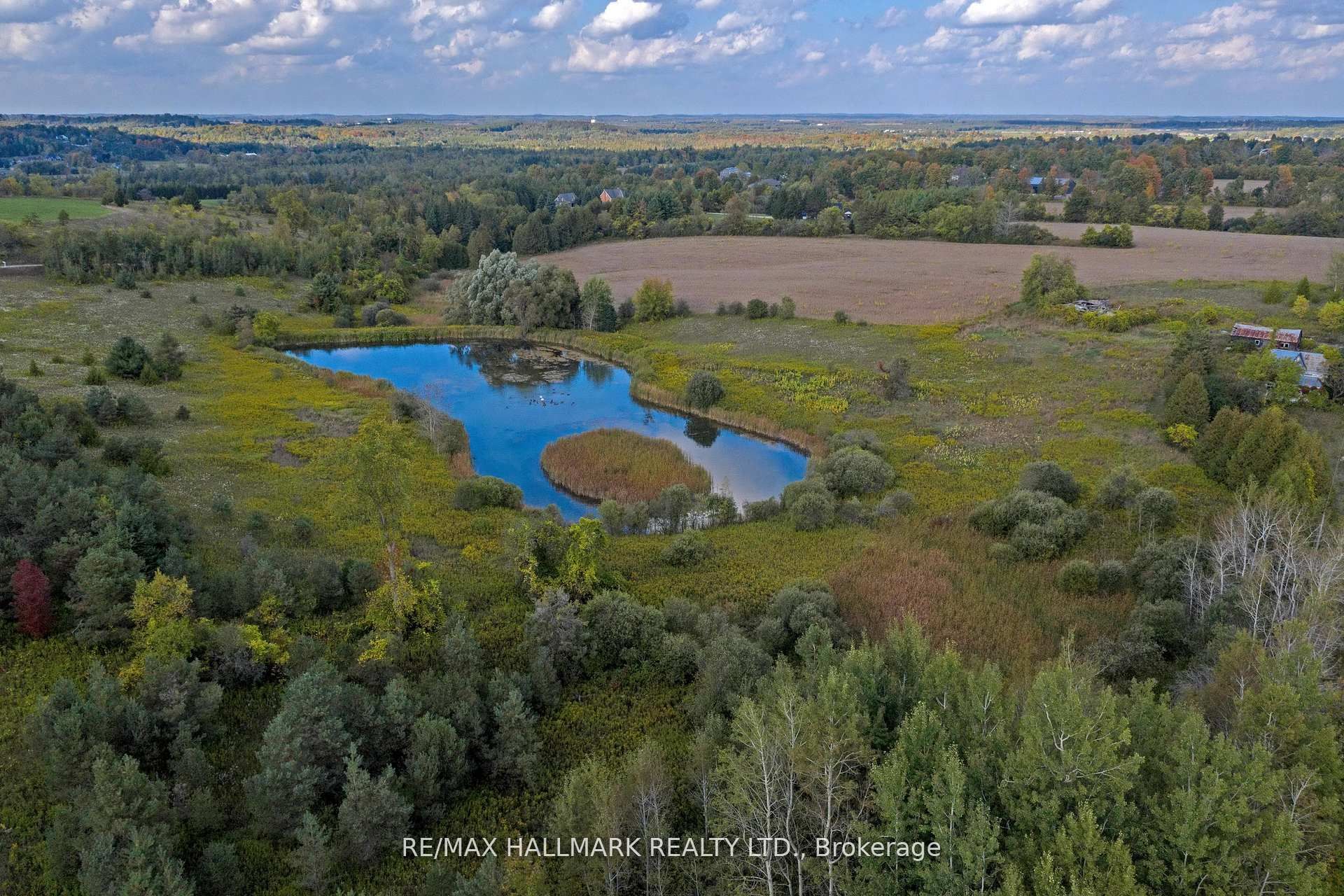 5285 Trafalgar Road Property Photo 14