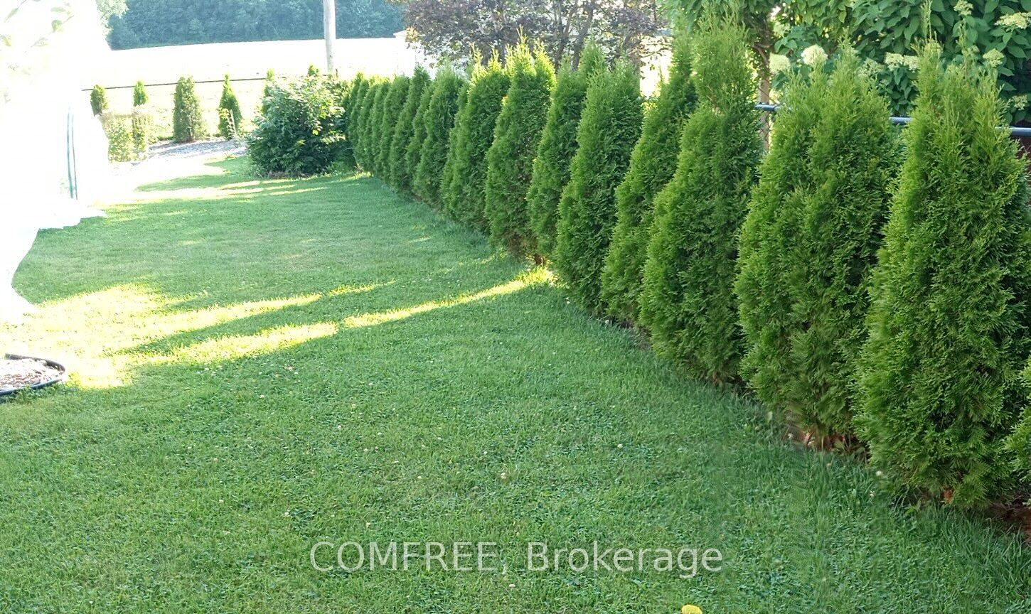 35 Tanya Drive Property Photo 31