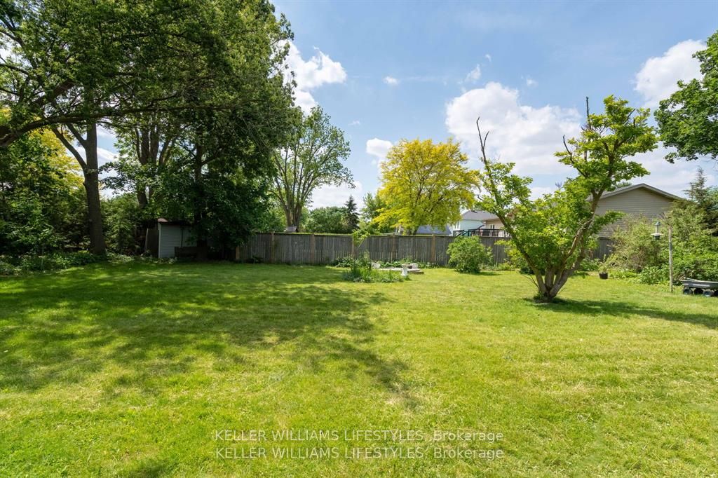 93 Sarah Street Property Photo 38