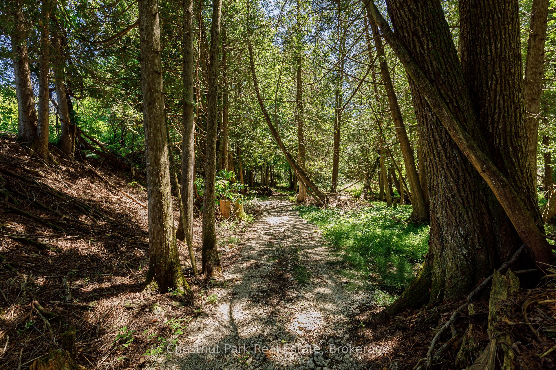 174386 Lower Valley Road Property Photo 23