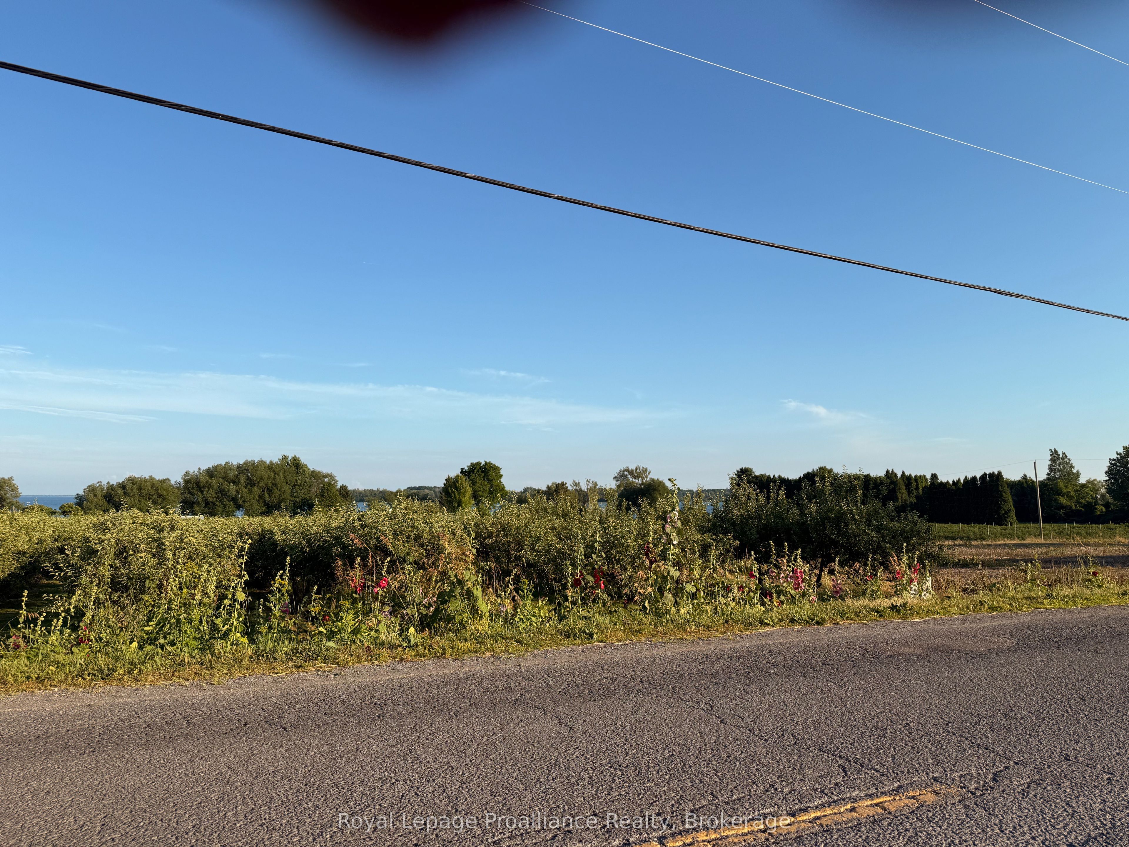 00 County Road 8 Property Photo 3