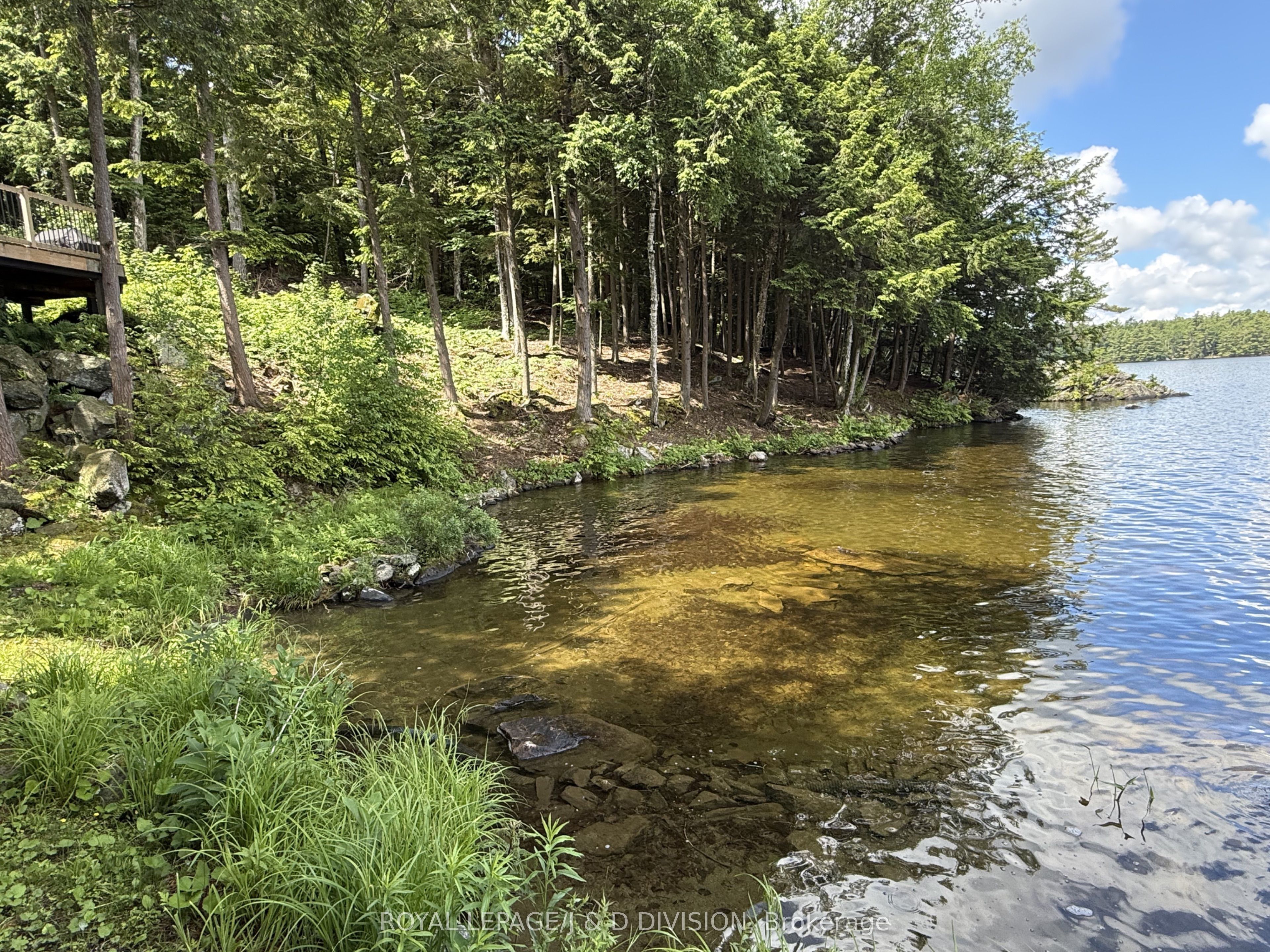200 Blackstone Lake Water Property Photo 47