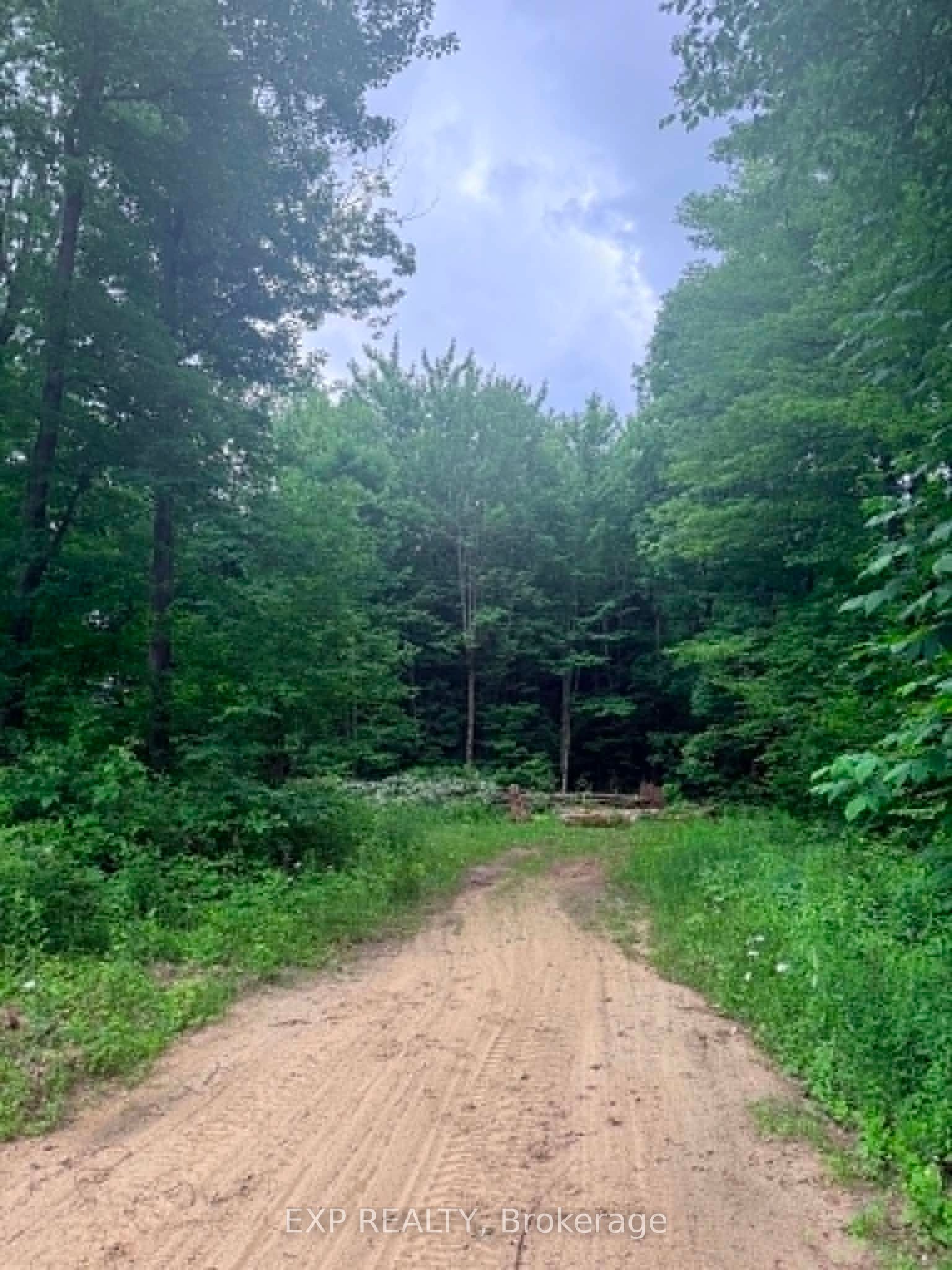 00 B Concession Road 4 Road Property Photo 16