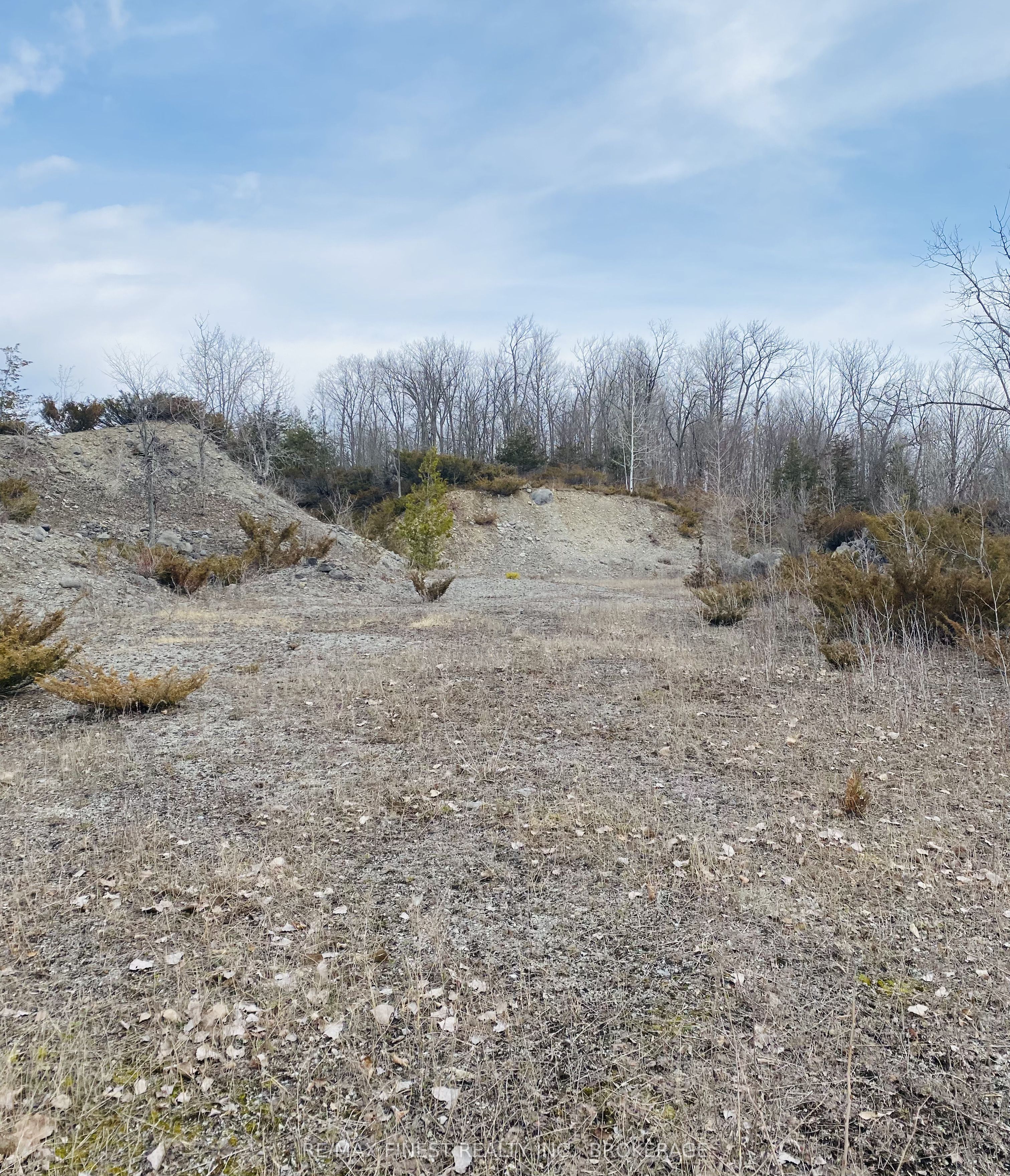 180 Napanee Road Property Photo 46