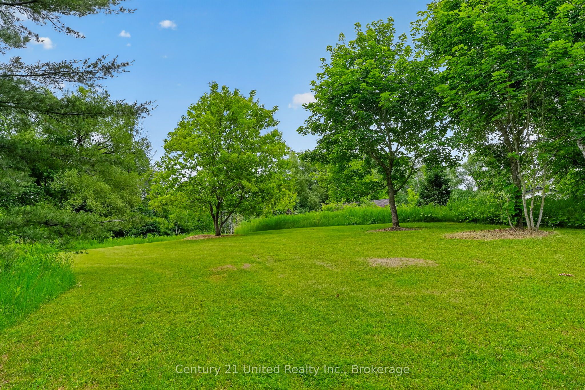 145 Noonan Road Property Photo 46