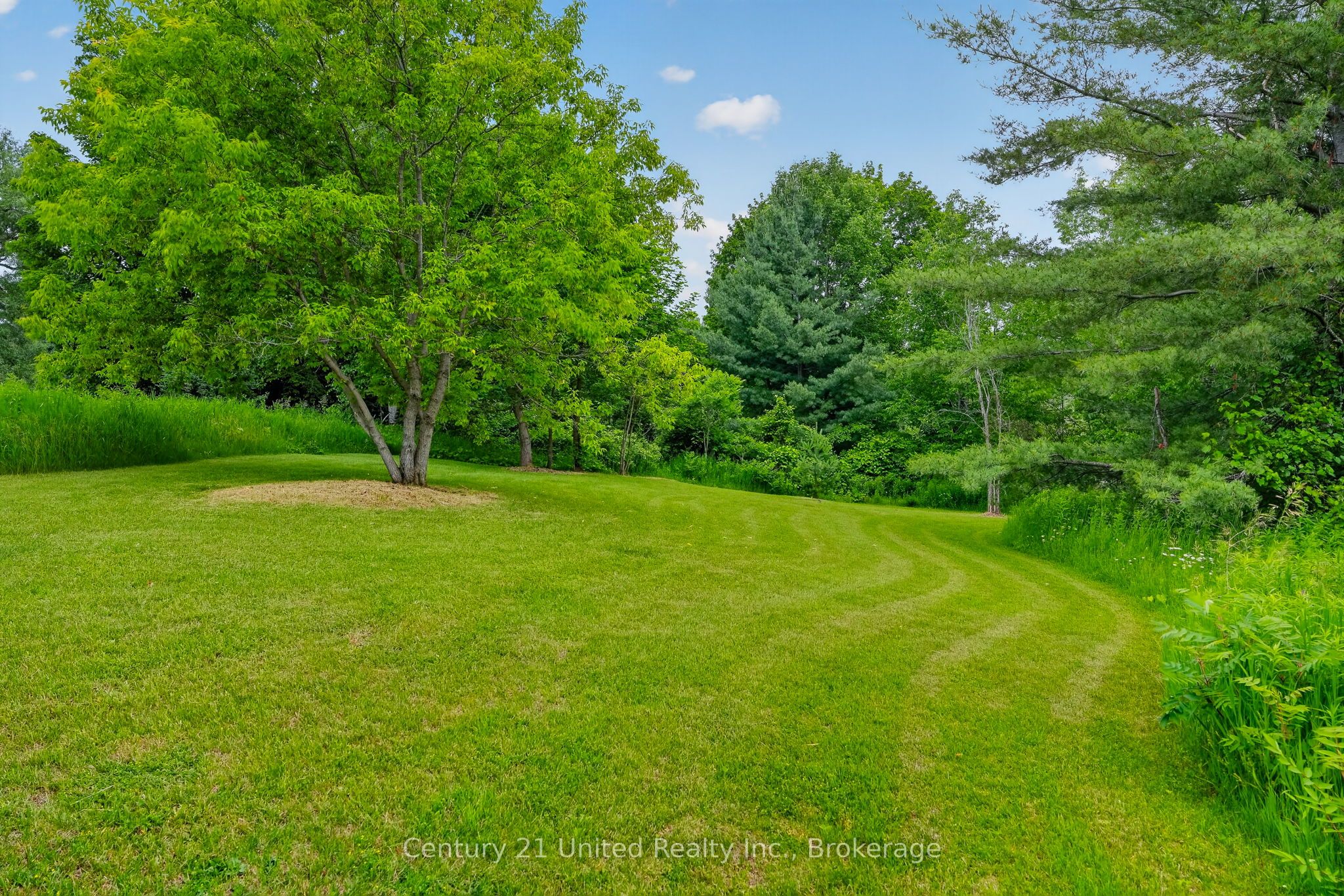 145 Noonan Road Property Photo 47