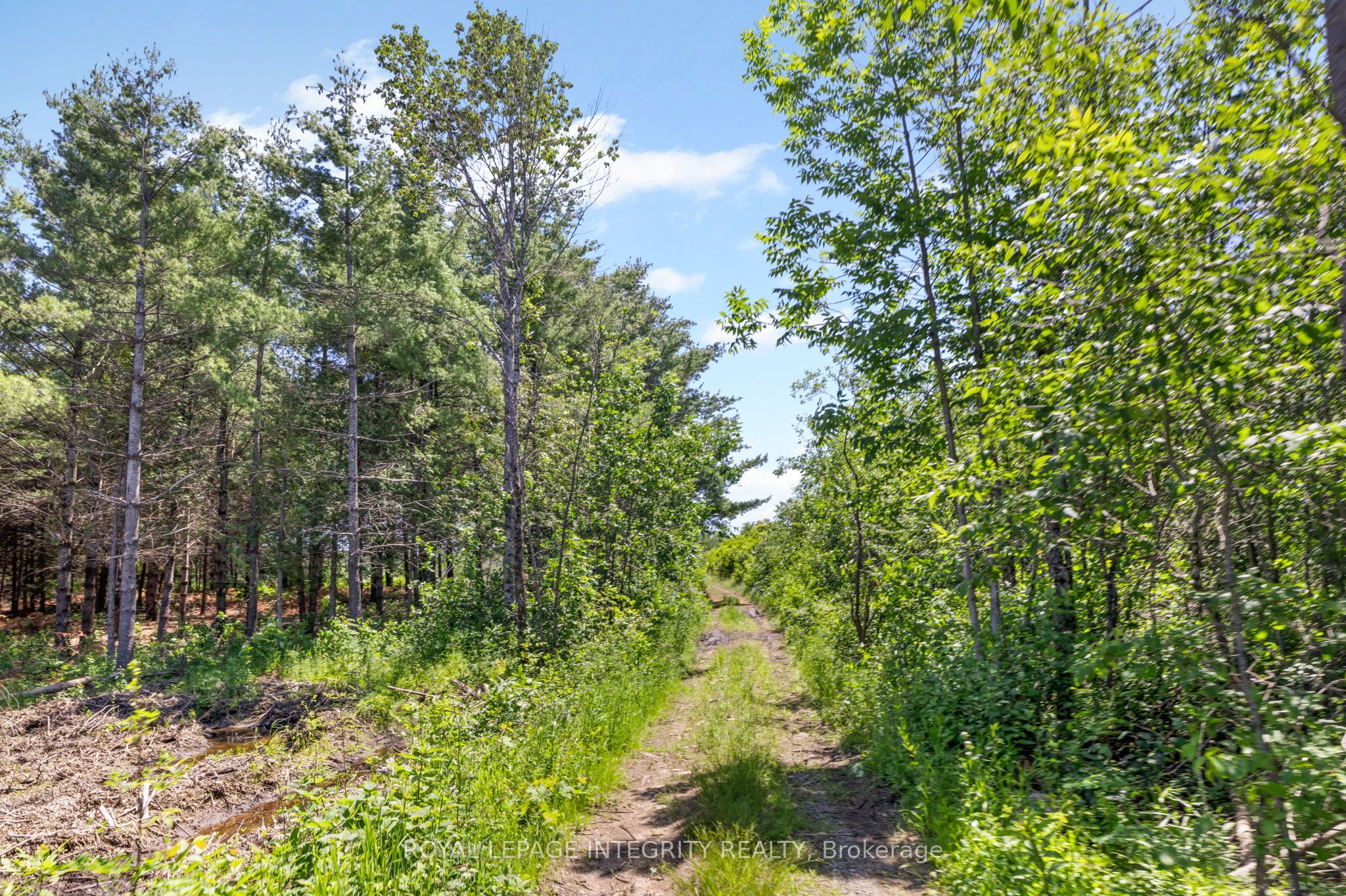 4228 O'neil Road Property Photo 43