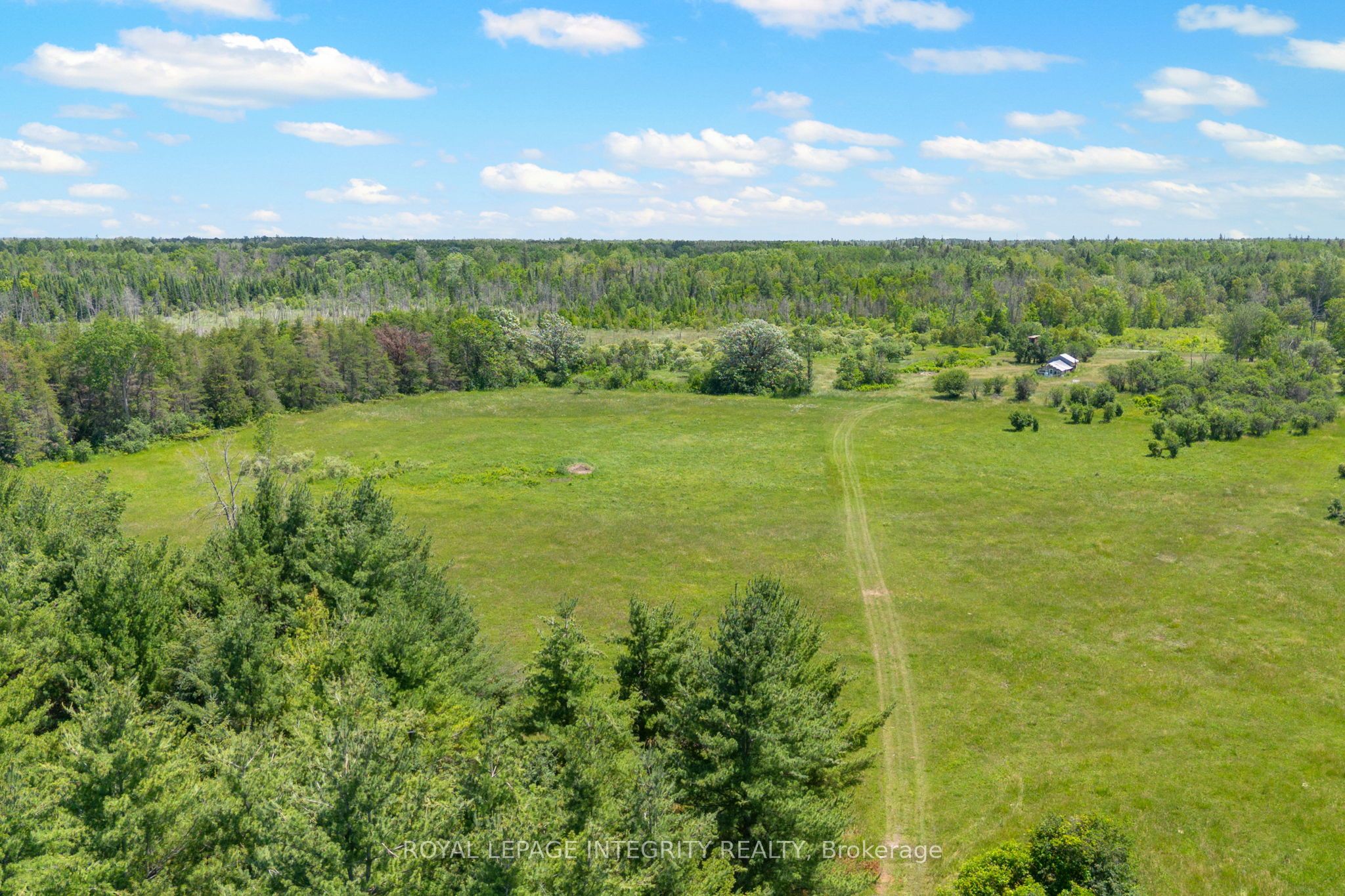 4228 O'neil Road Property Photo 44