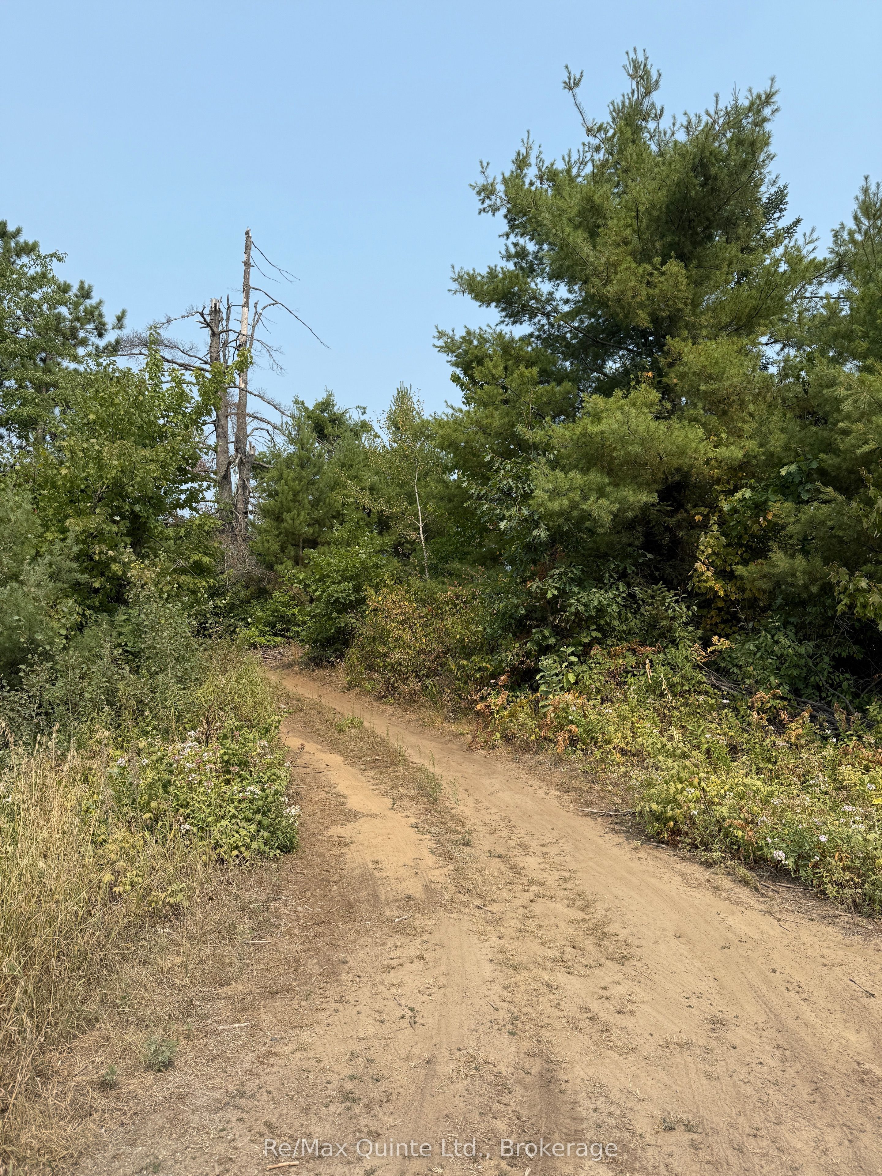 0 Potter Settlement Road Property Photo 1