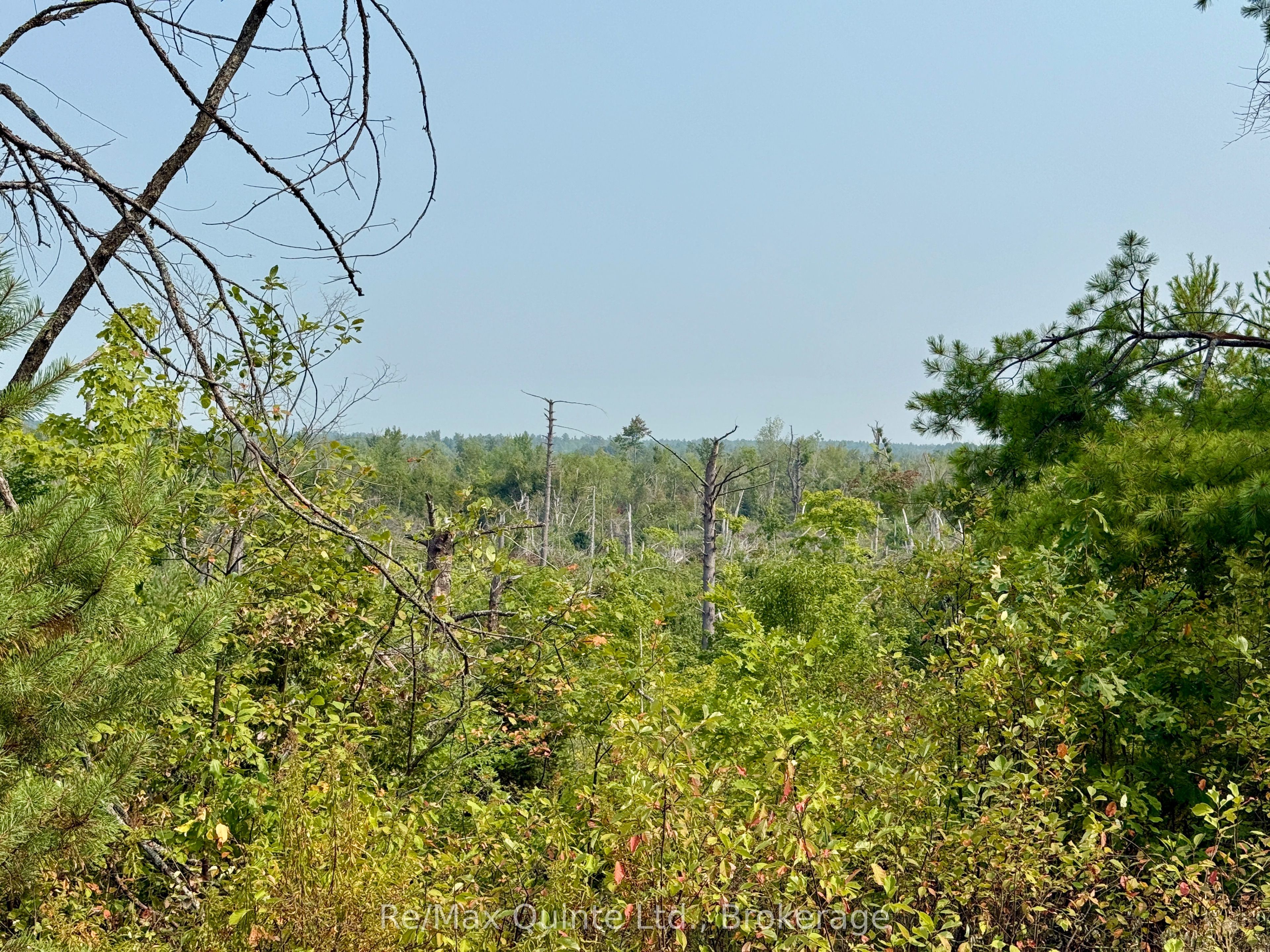 0 Potter Settlement Road Property Photo 2