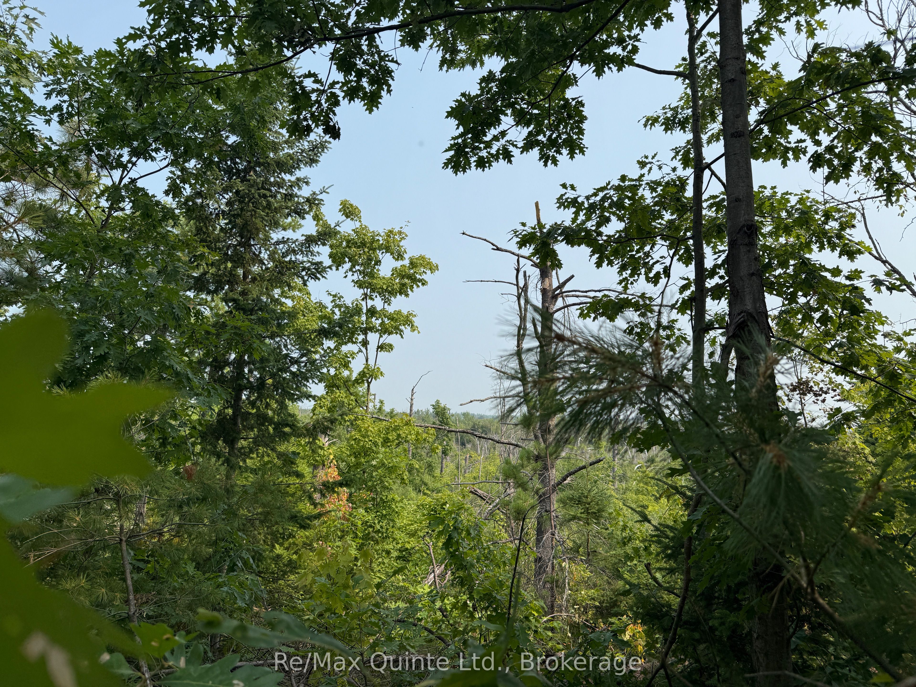 0 Potter Settlement Road Property Photo 3