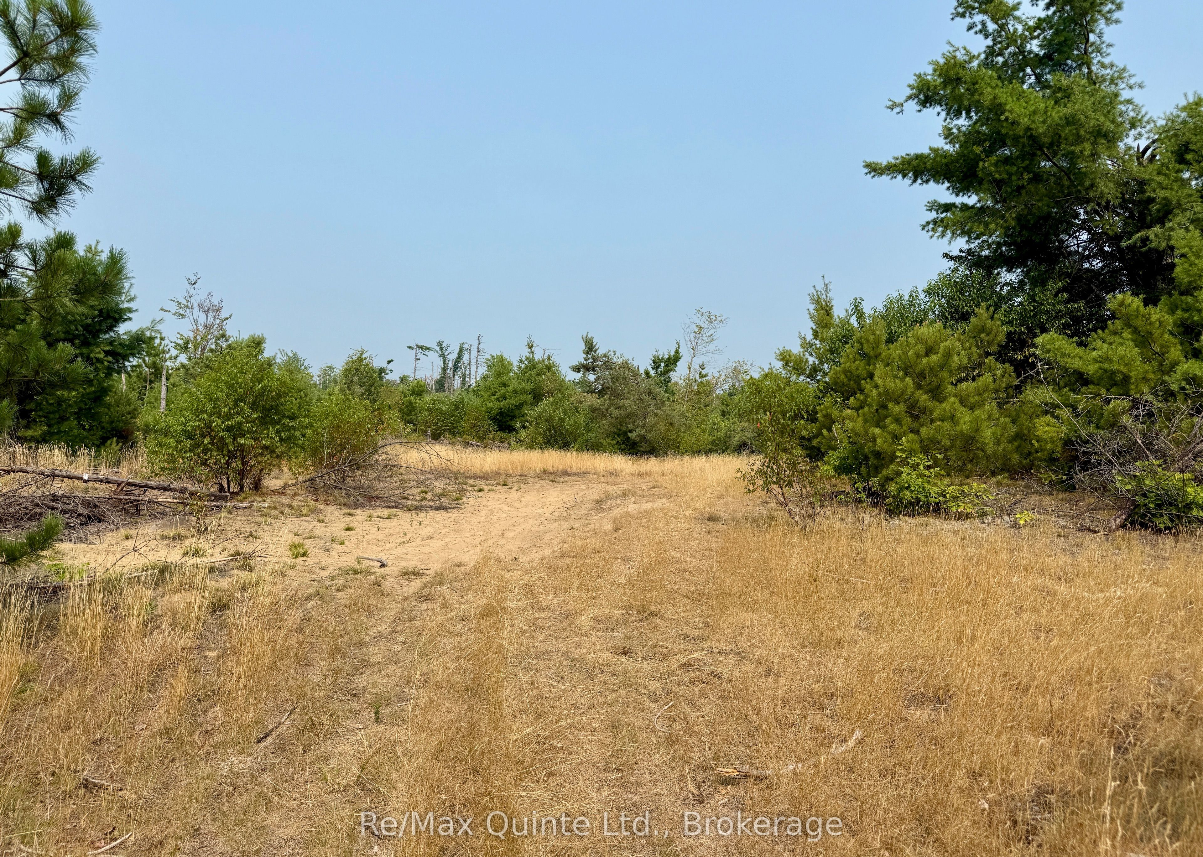 0 Potter Settlement Road Property Photo 4