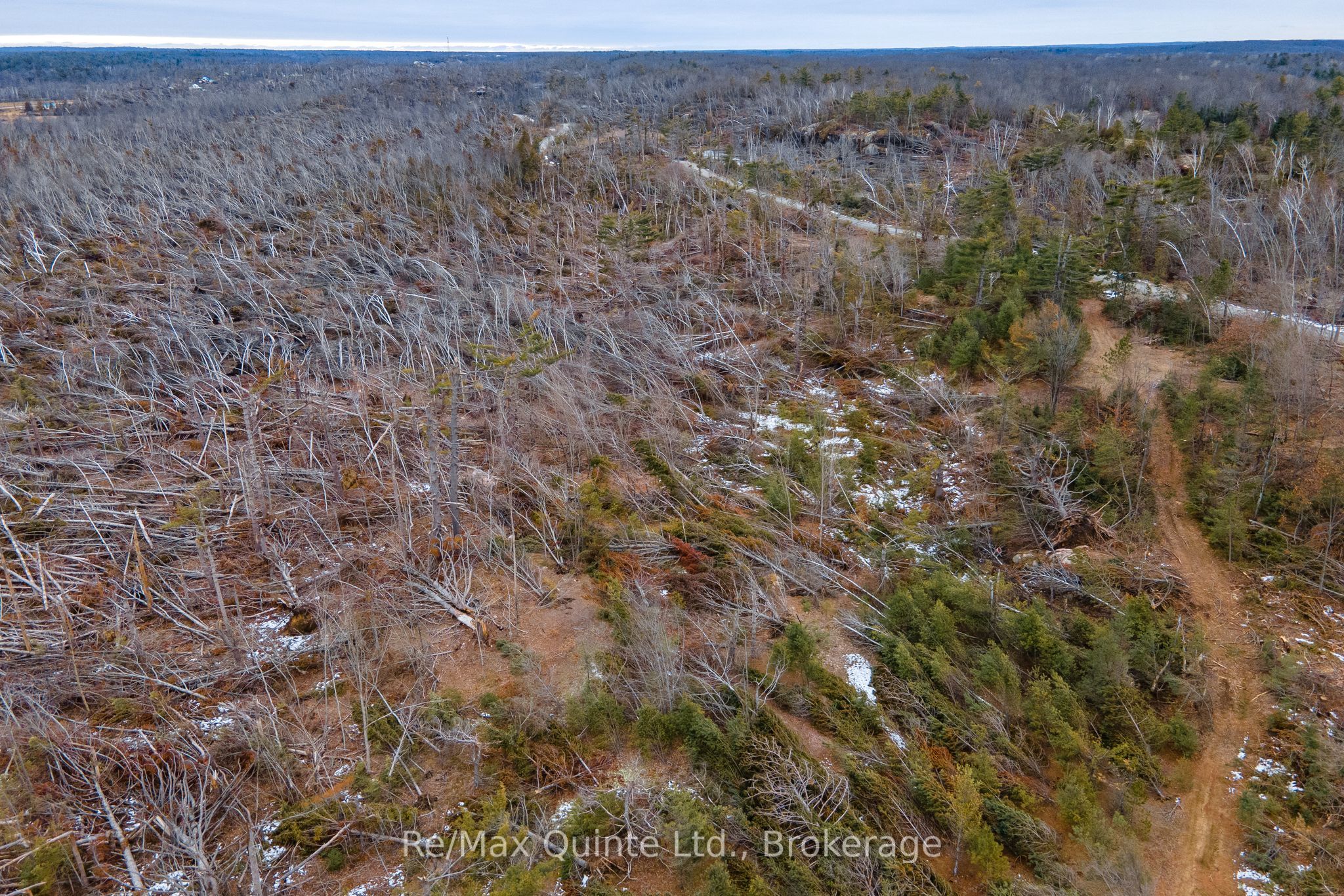 0 Potter Settlement Road Property Photo 9