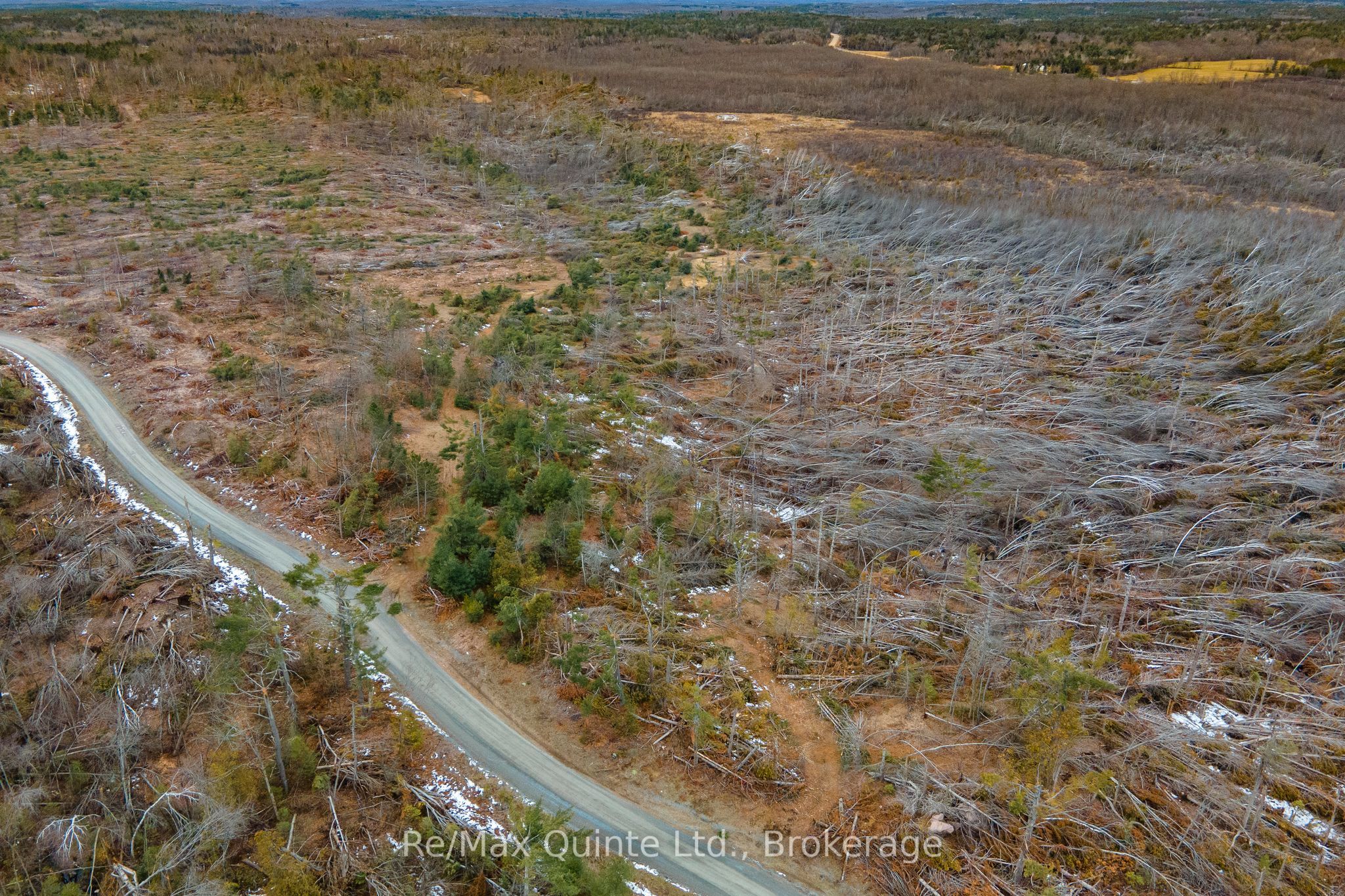 0 Potter Settlement Road Property Photo 11
