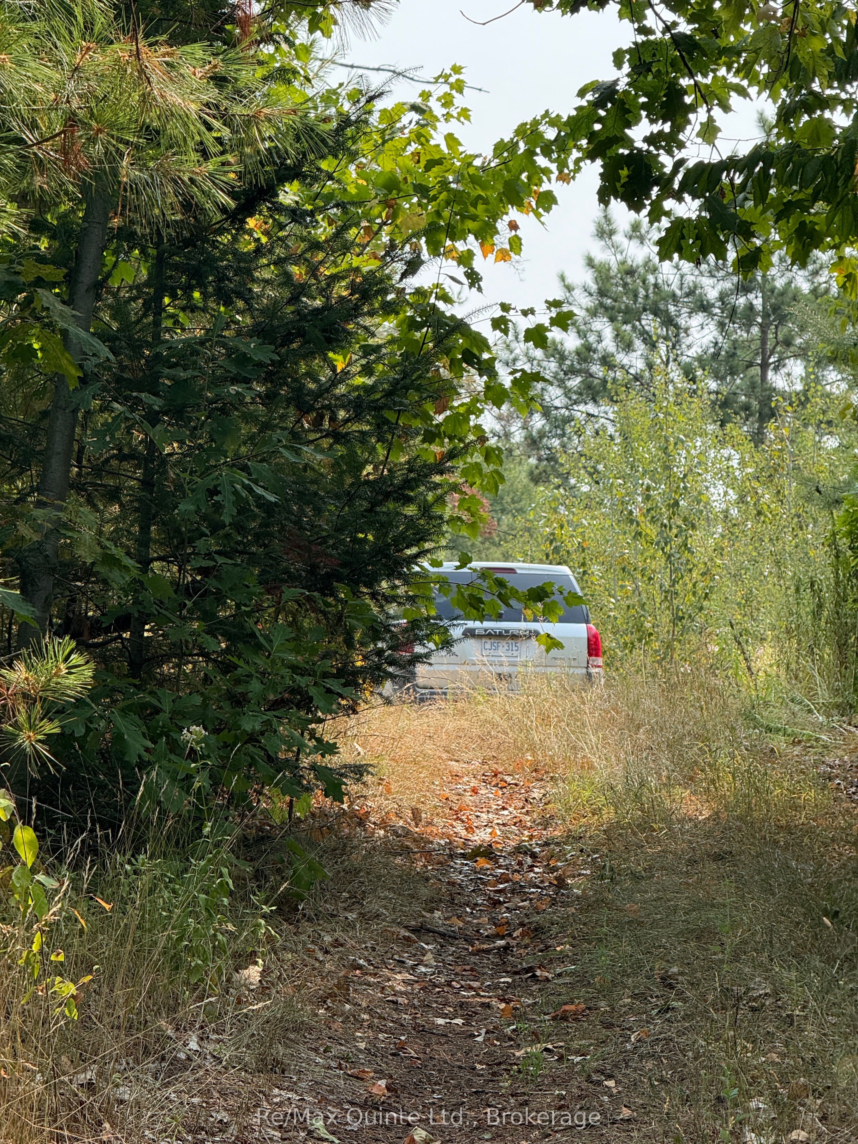0 Potter Settlement Road Property Photo 13