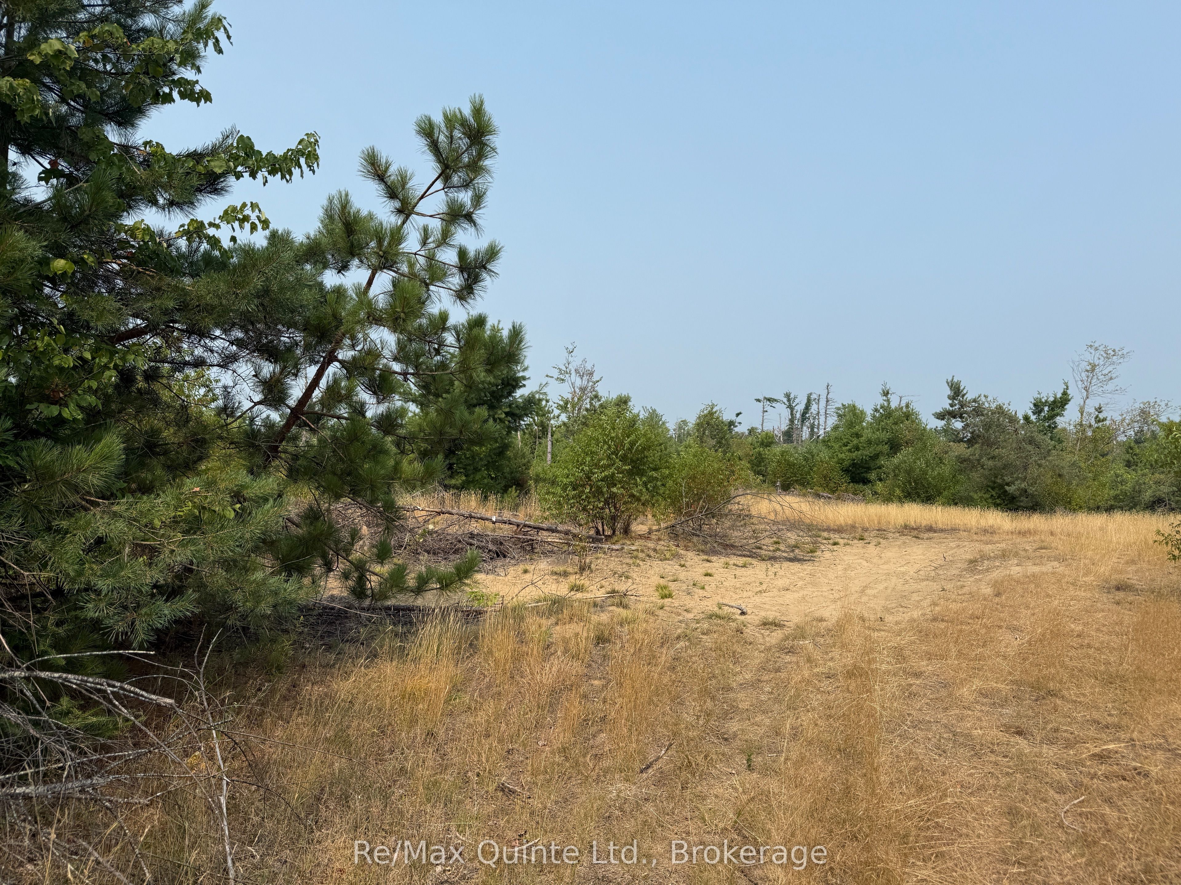 0 Potter Settlement Road Property Photo 14