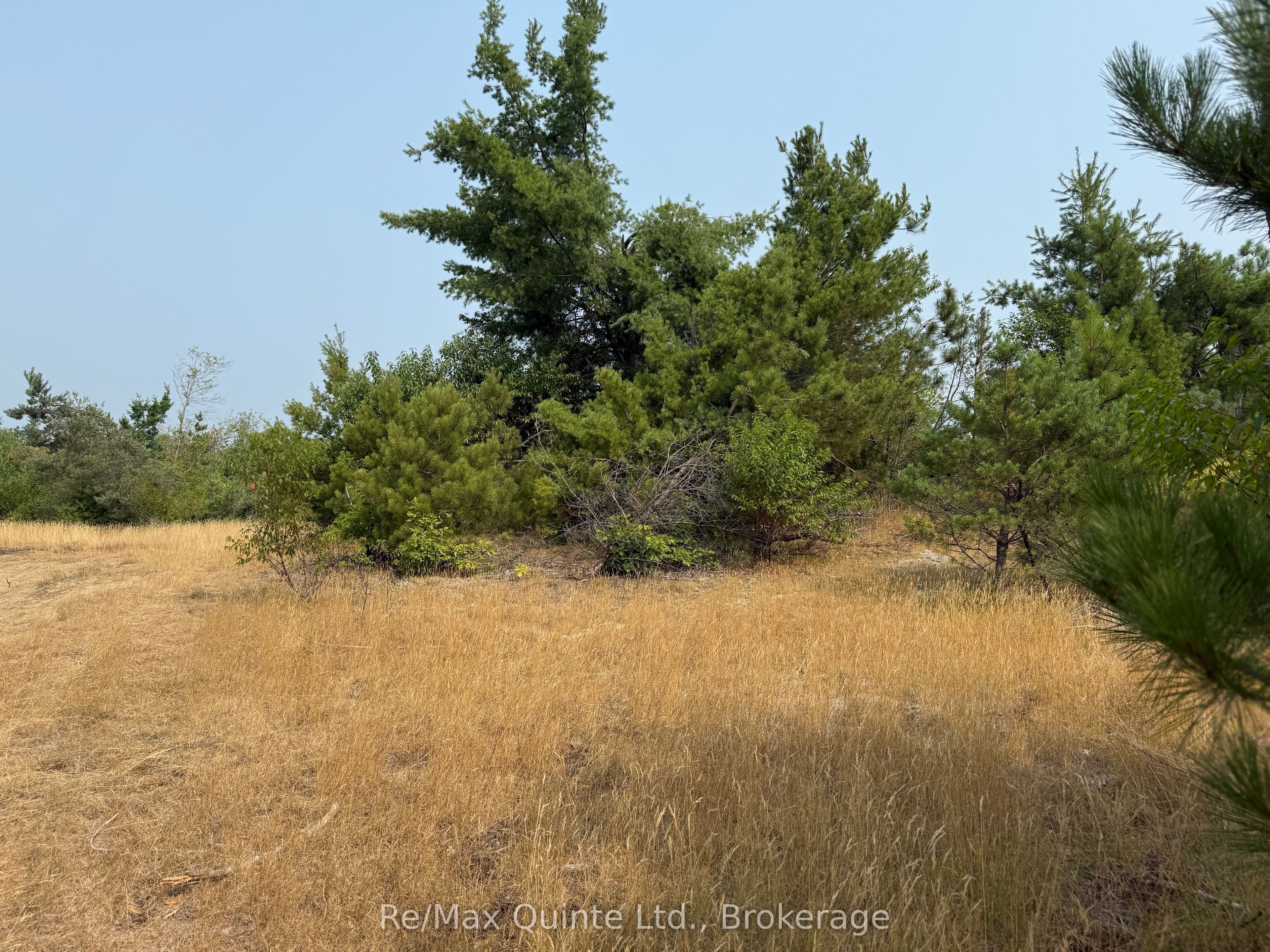 0 Potter Settlement Road Property Photo 15