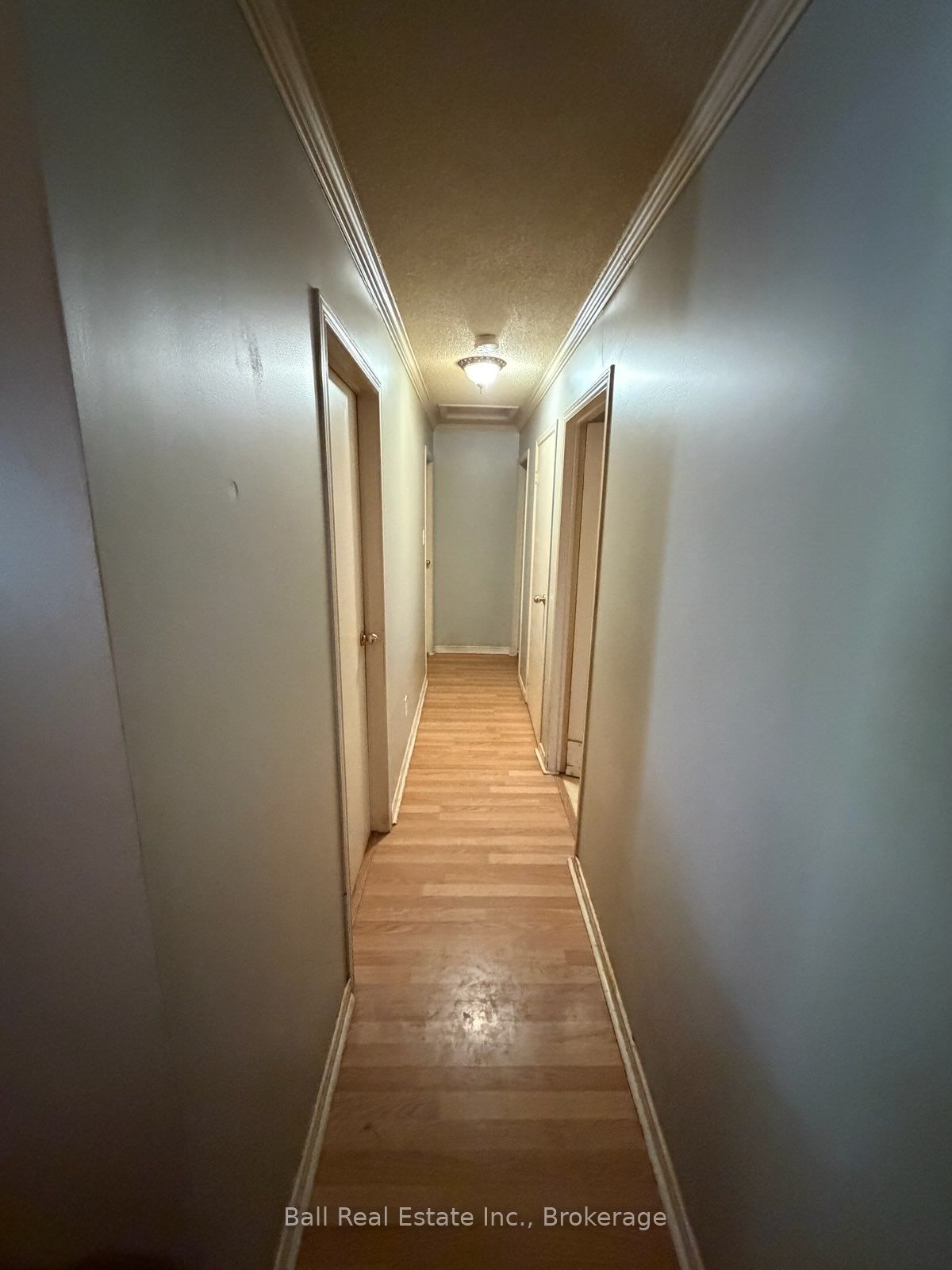 51 Cameron Road Property Photo 15