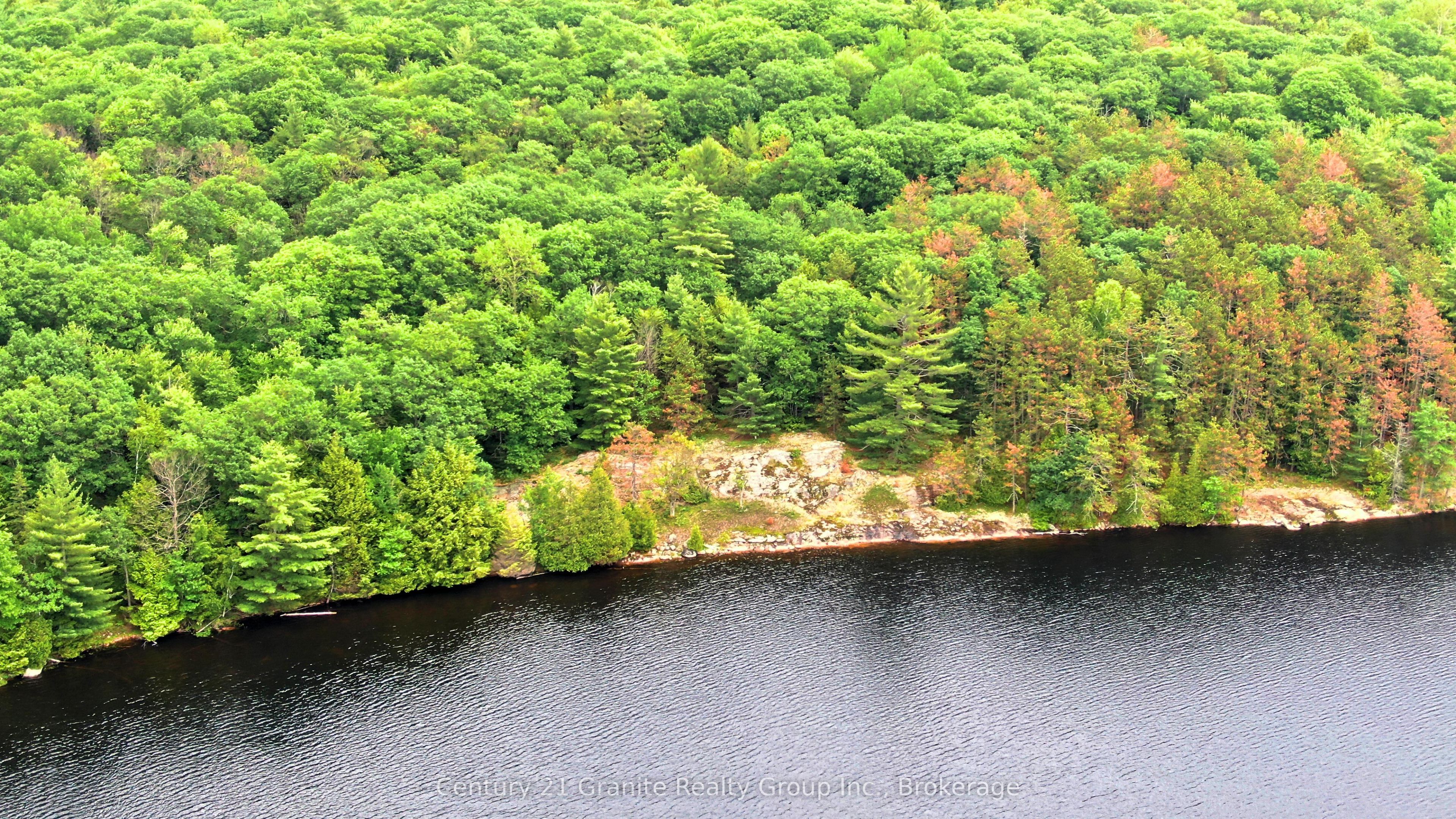 0 West Eels Lake Road Property Photo 8
