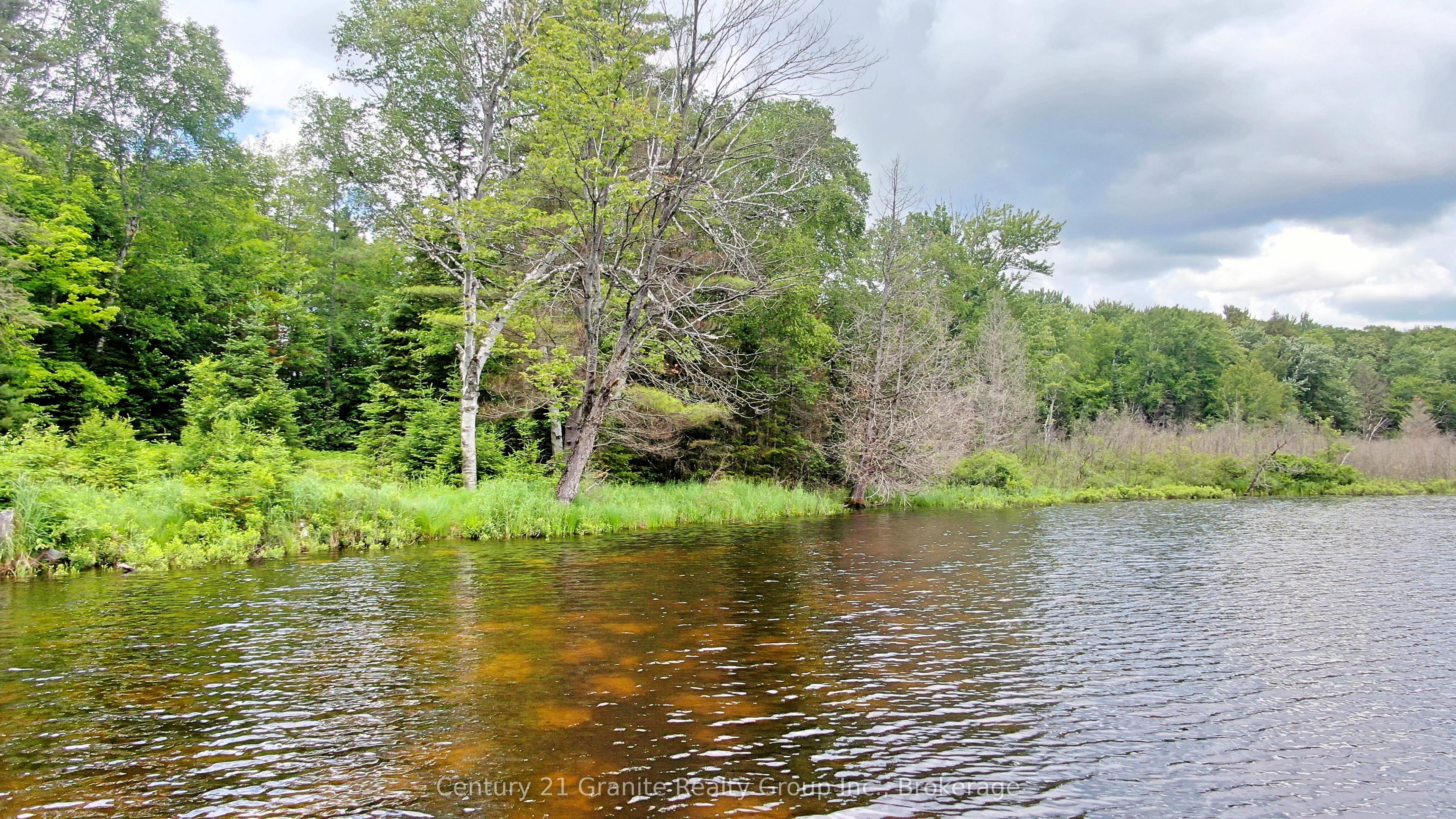 0 West Eels Lake Road Property Photo 13