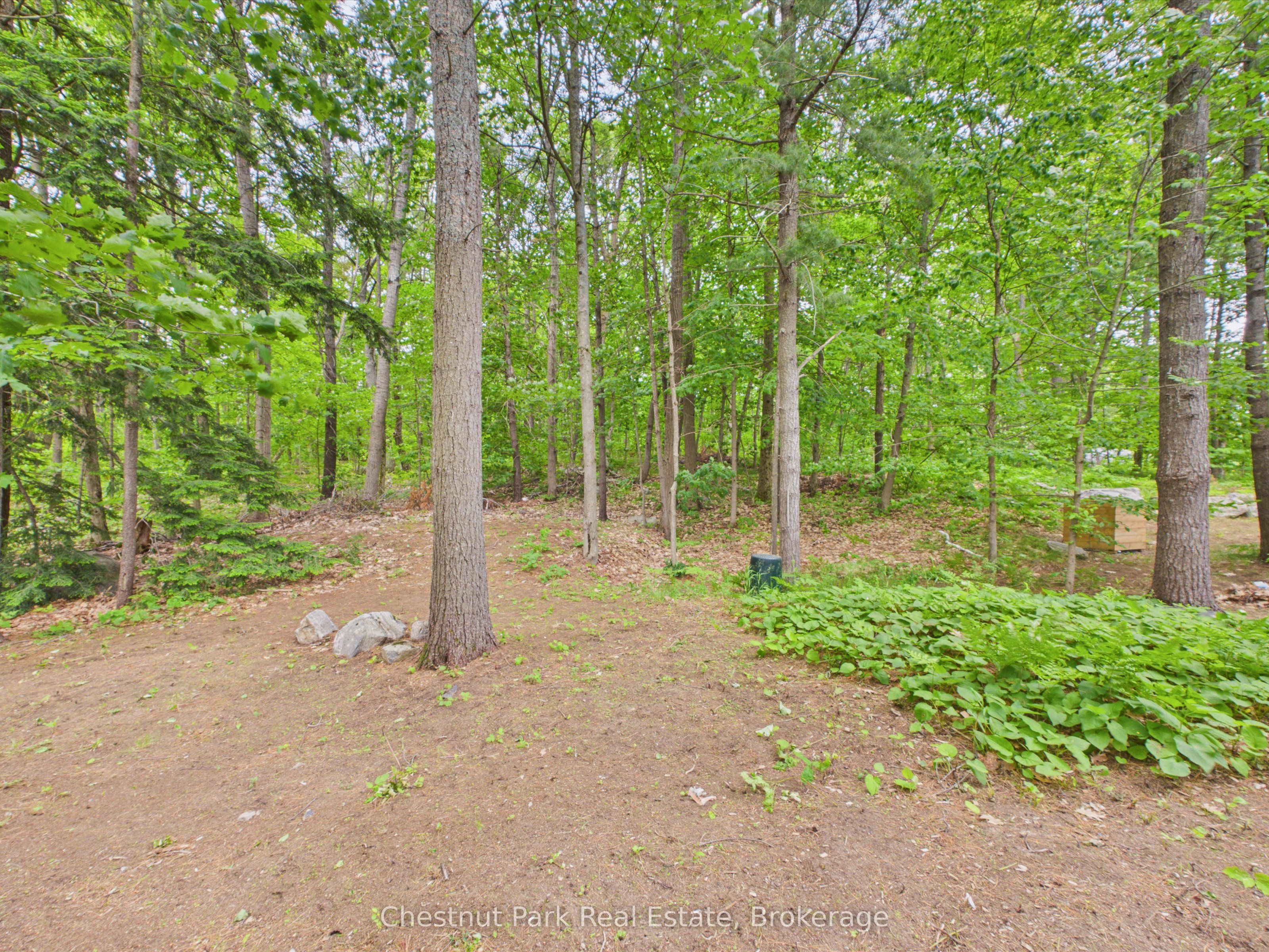 51 Taylor Island Property Photo 38