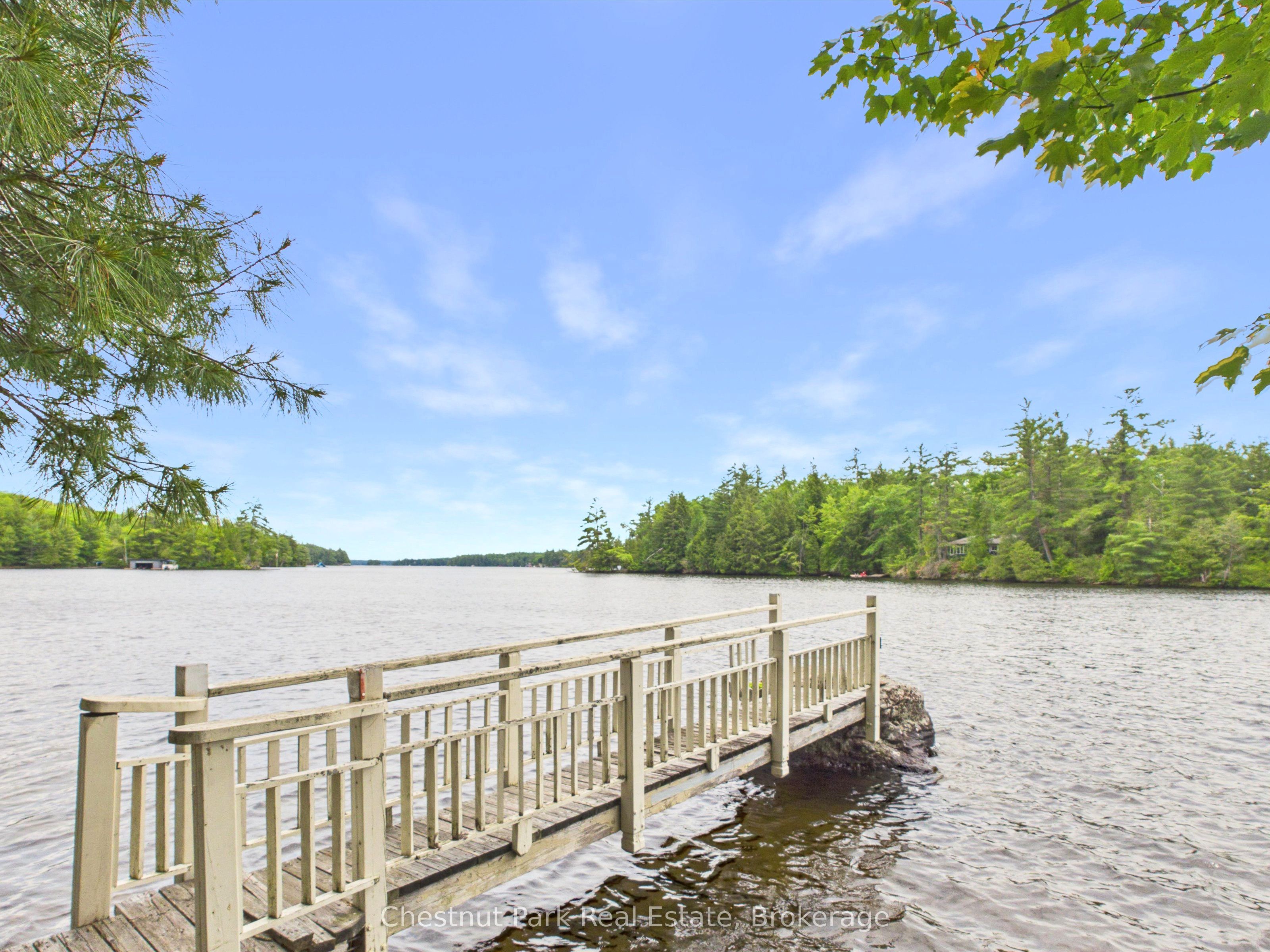 51 Taylor Island Property Photo 46