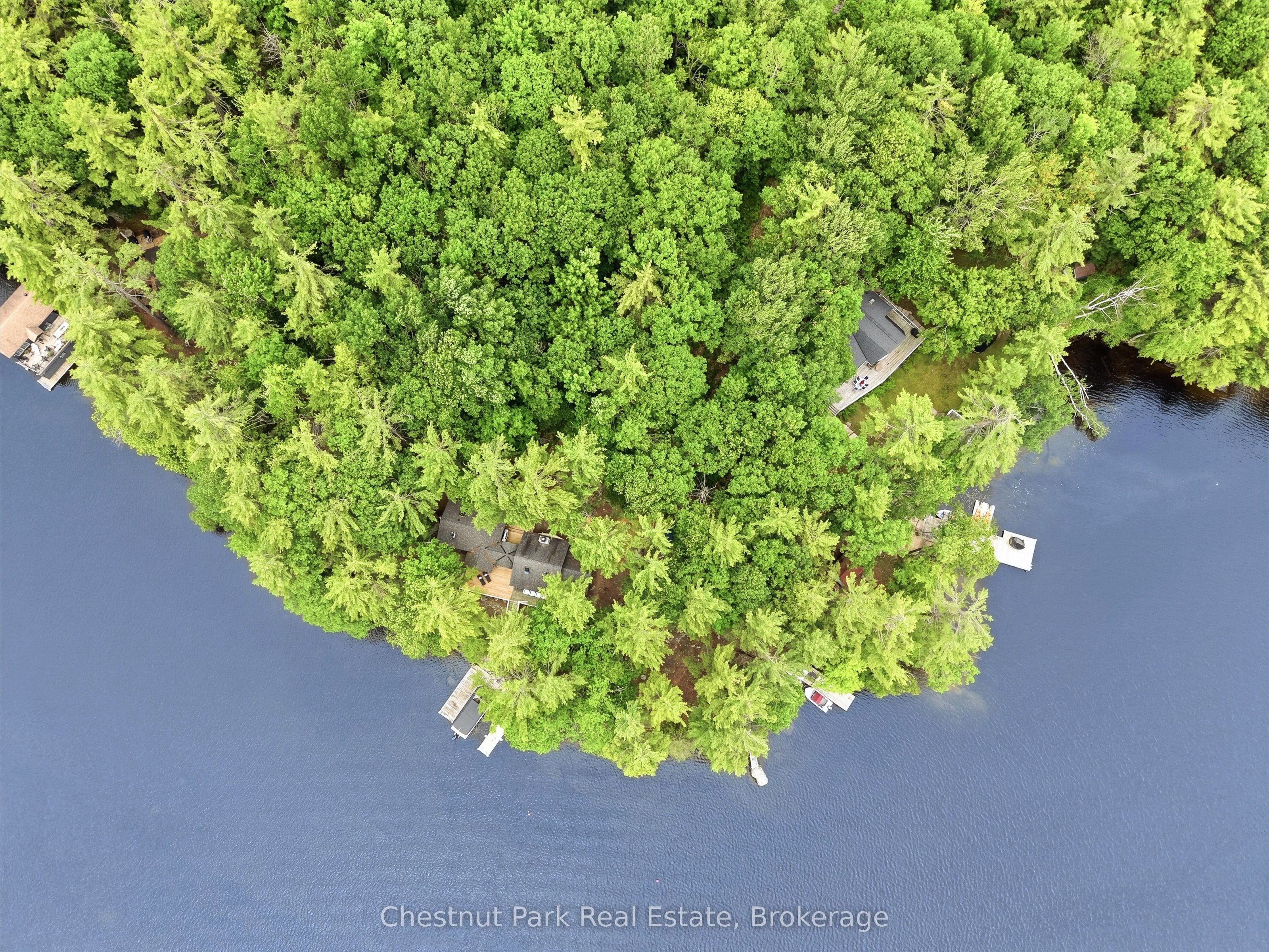 51 Taylor Island Property Photo 48