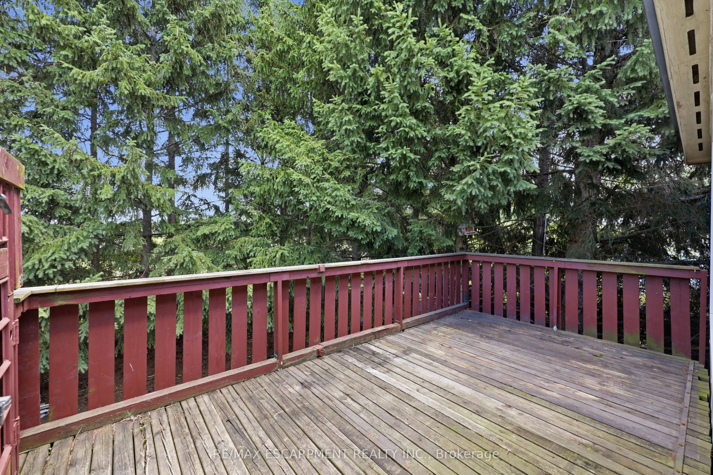 8404 Chippewa Road Property Photo 48