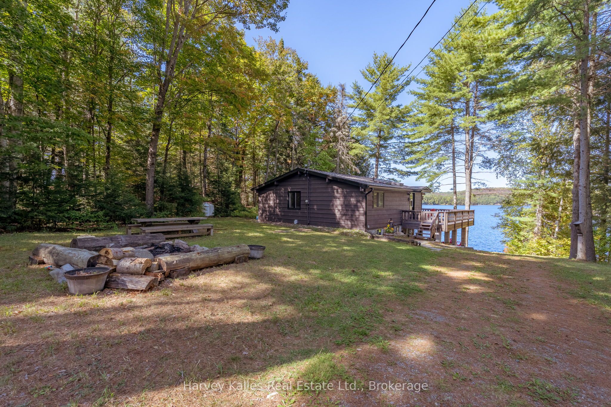 1003 Hollow Road Property Photo 3