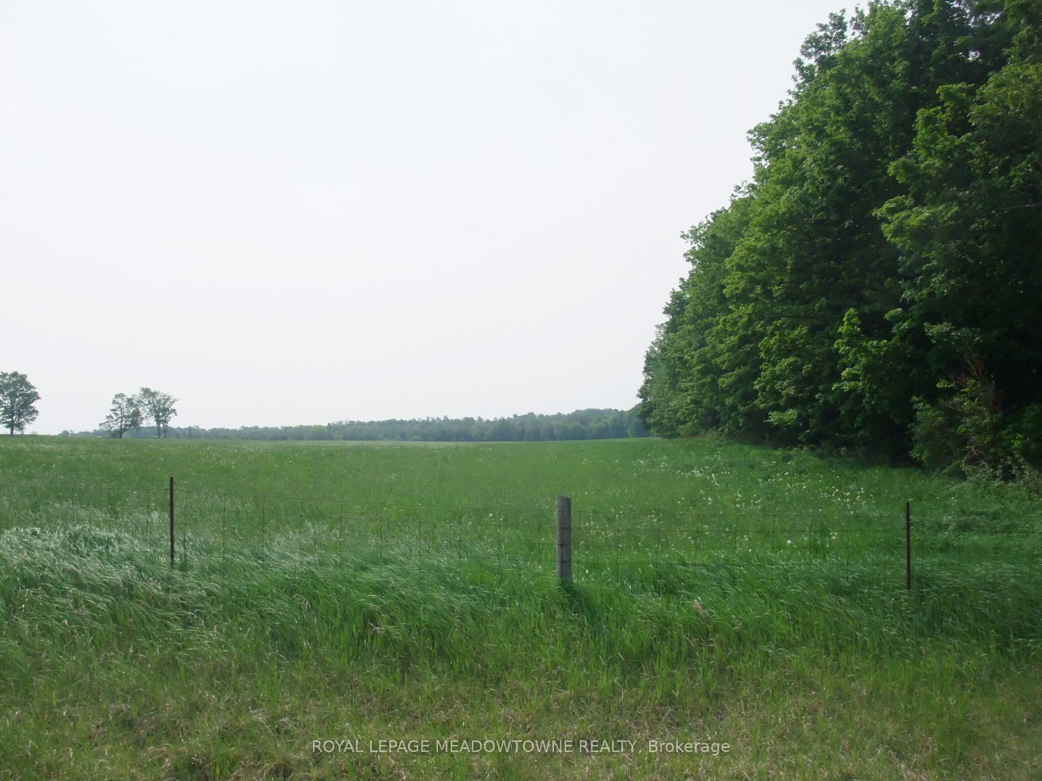8949 Wellington Rd 22 Property Photo 12