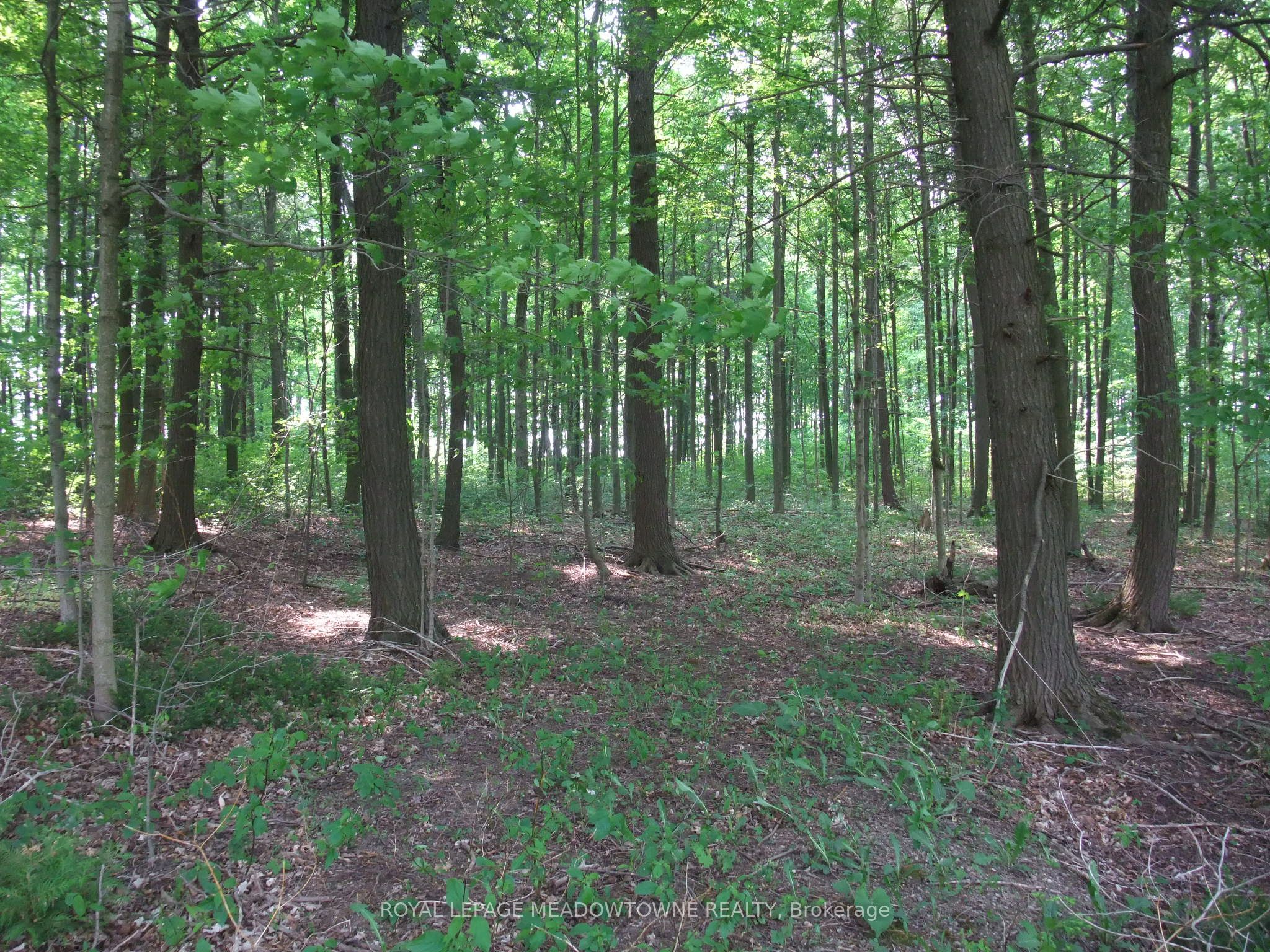 8949 Wellington Rd 22 Property Photo 14