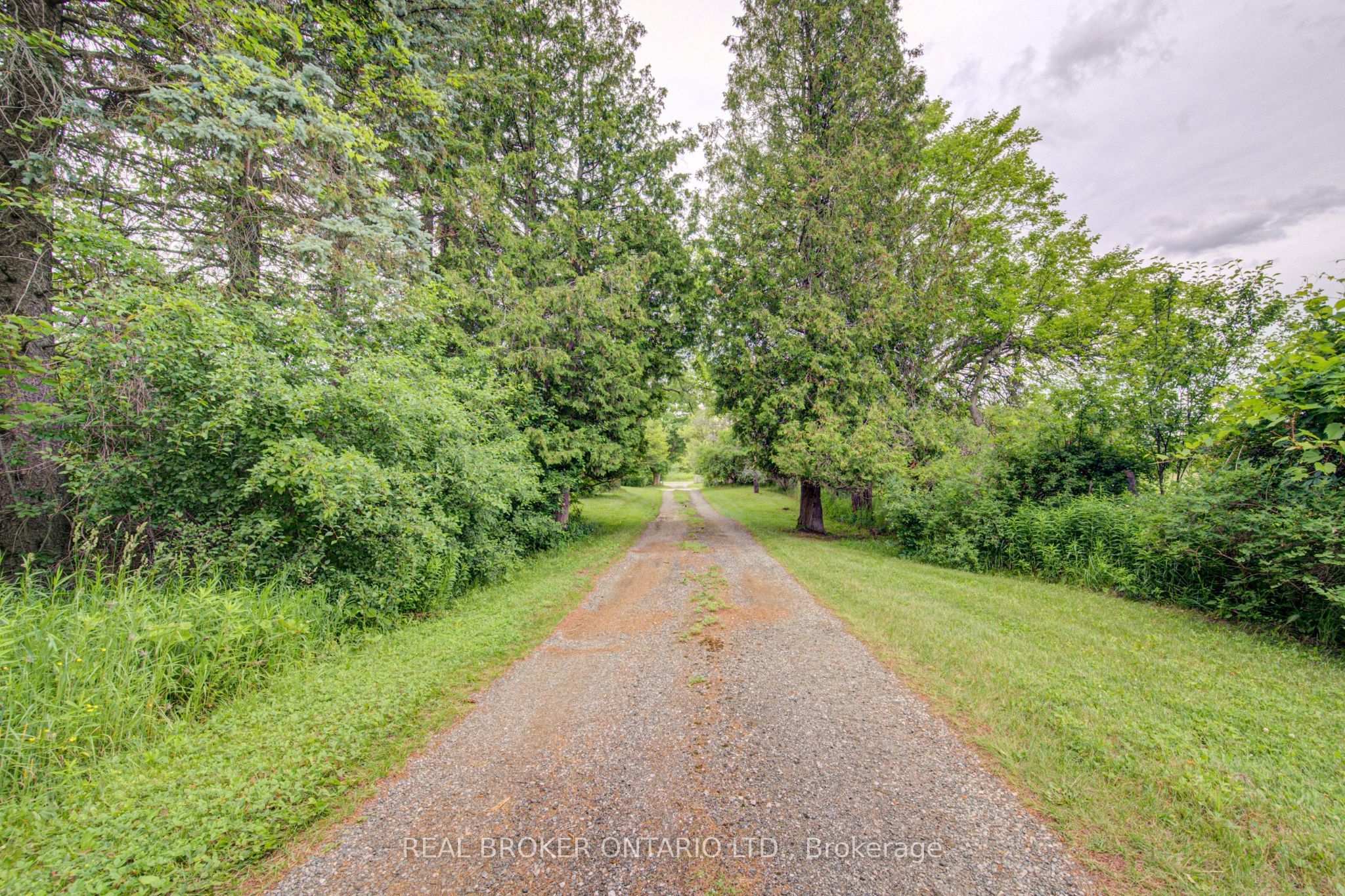 1032 Gore Road Property Photo 4