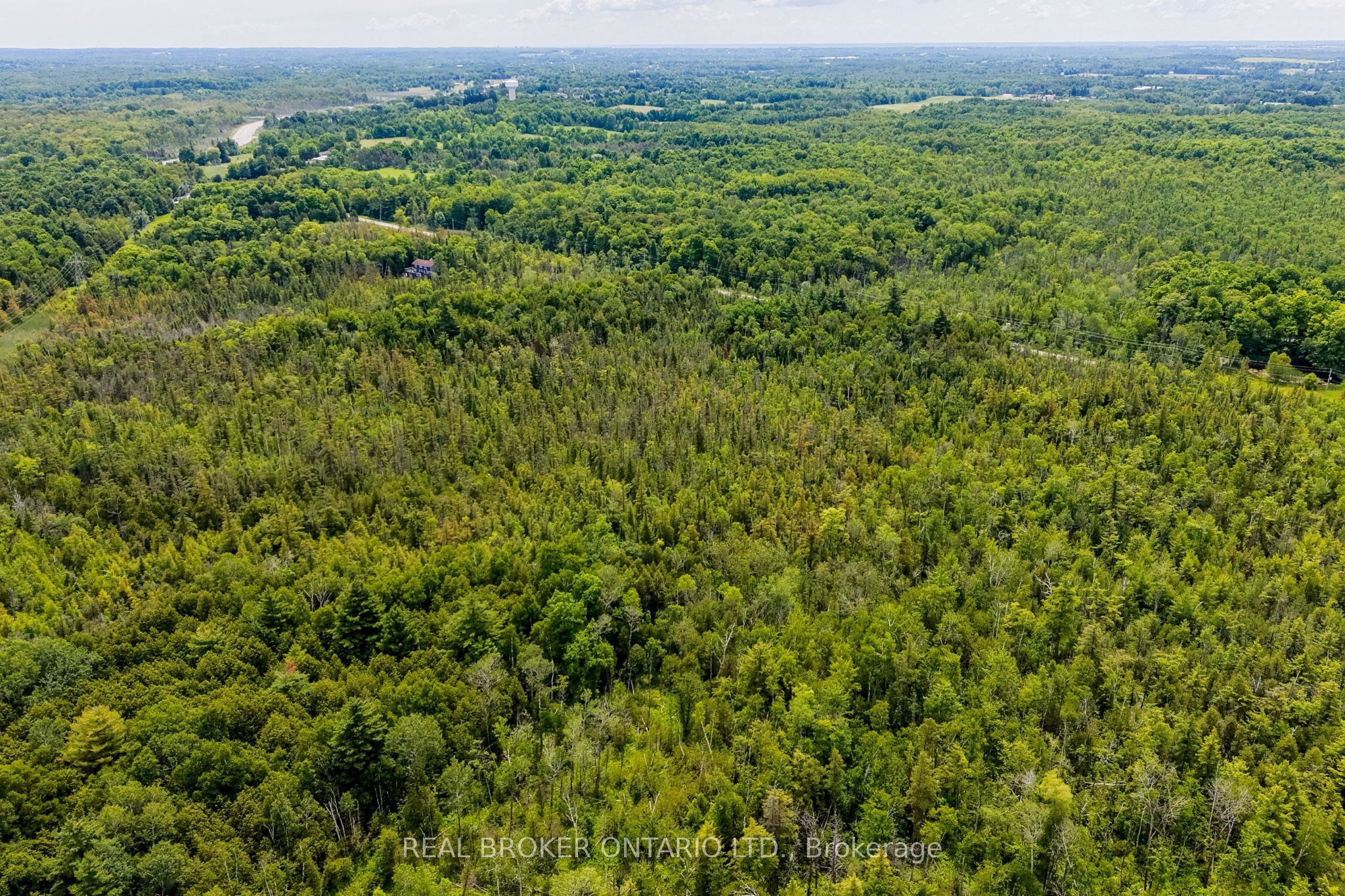 1032 Gore Road Property Photo 38
