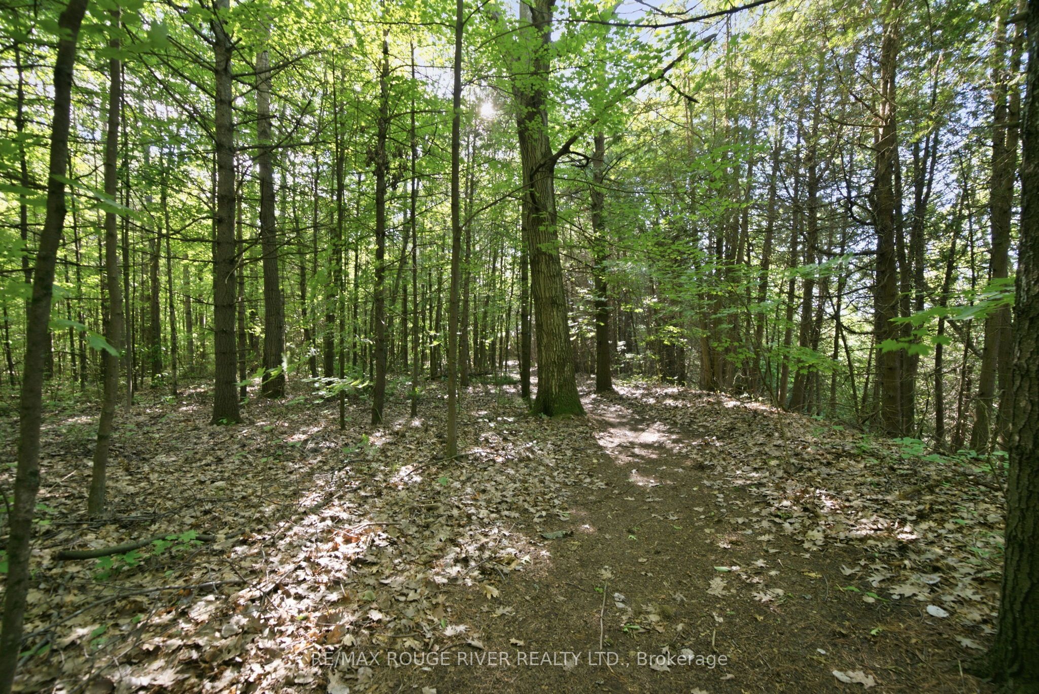 9866 Ellis Road Property Photo 43