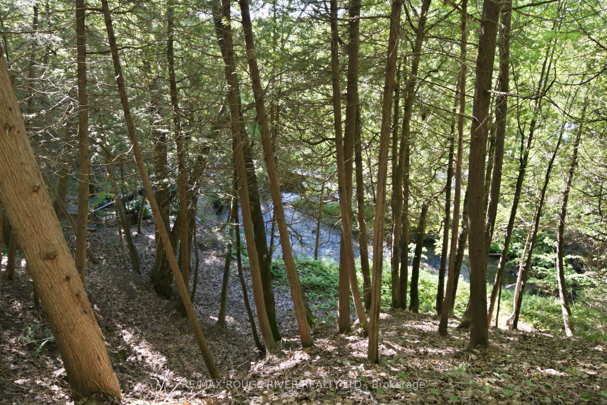 9866 Ellis Road Property Photo 44