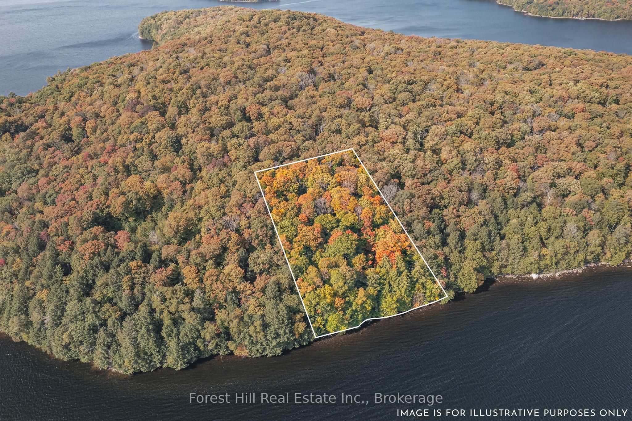 0 Bear Island Property Photo 4