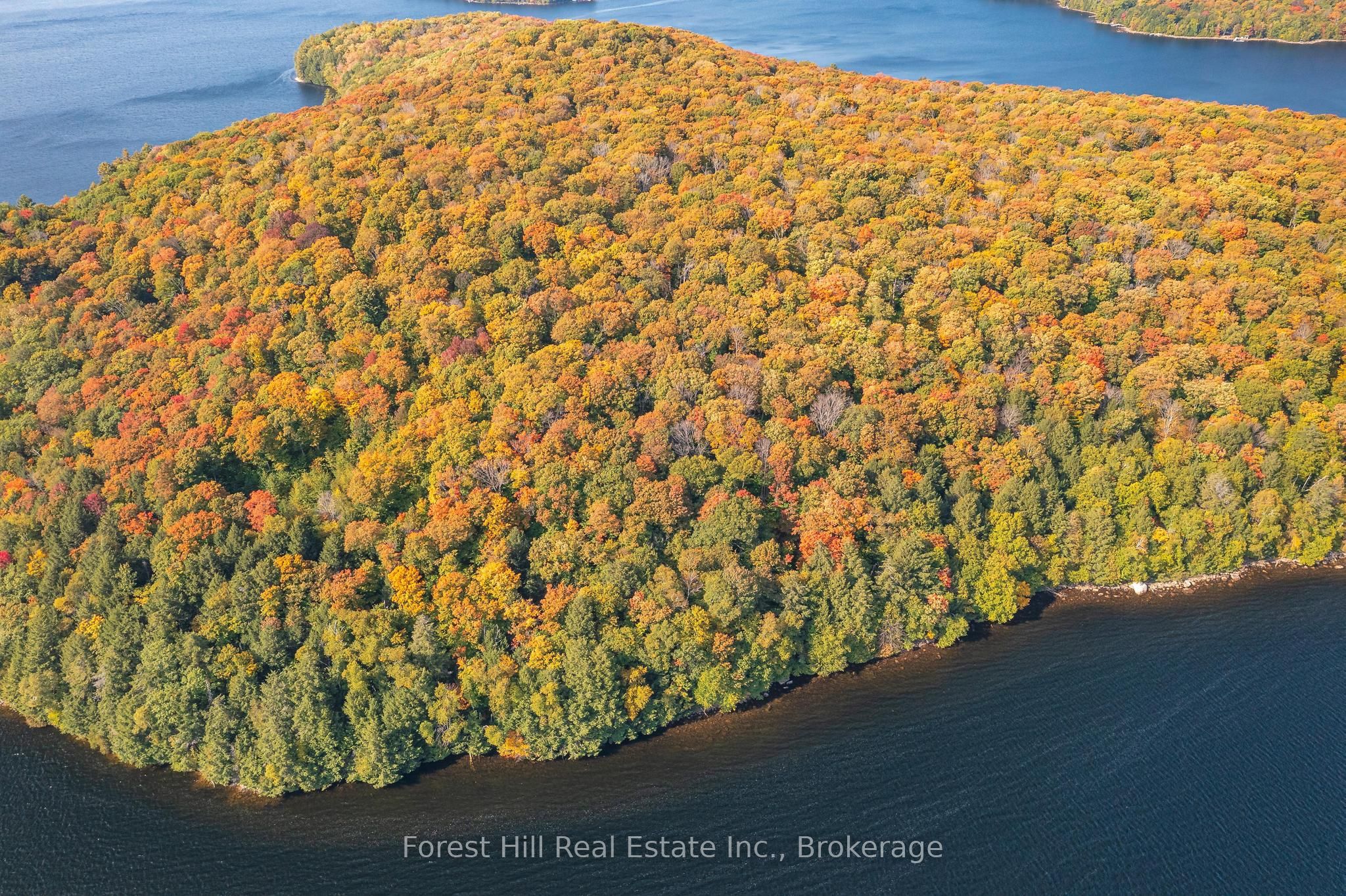 0 Bear Island Property Photo 5