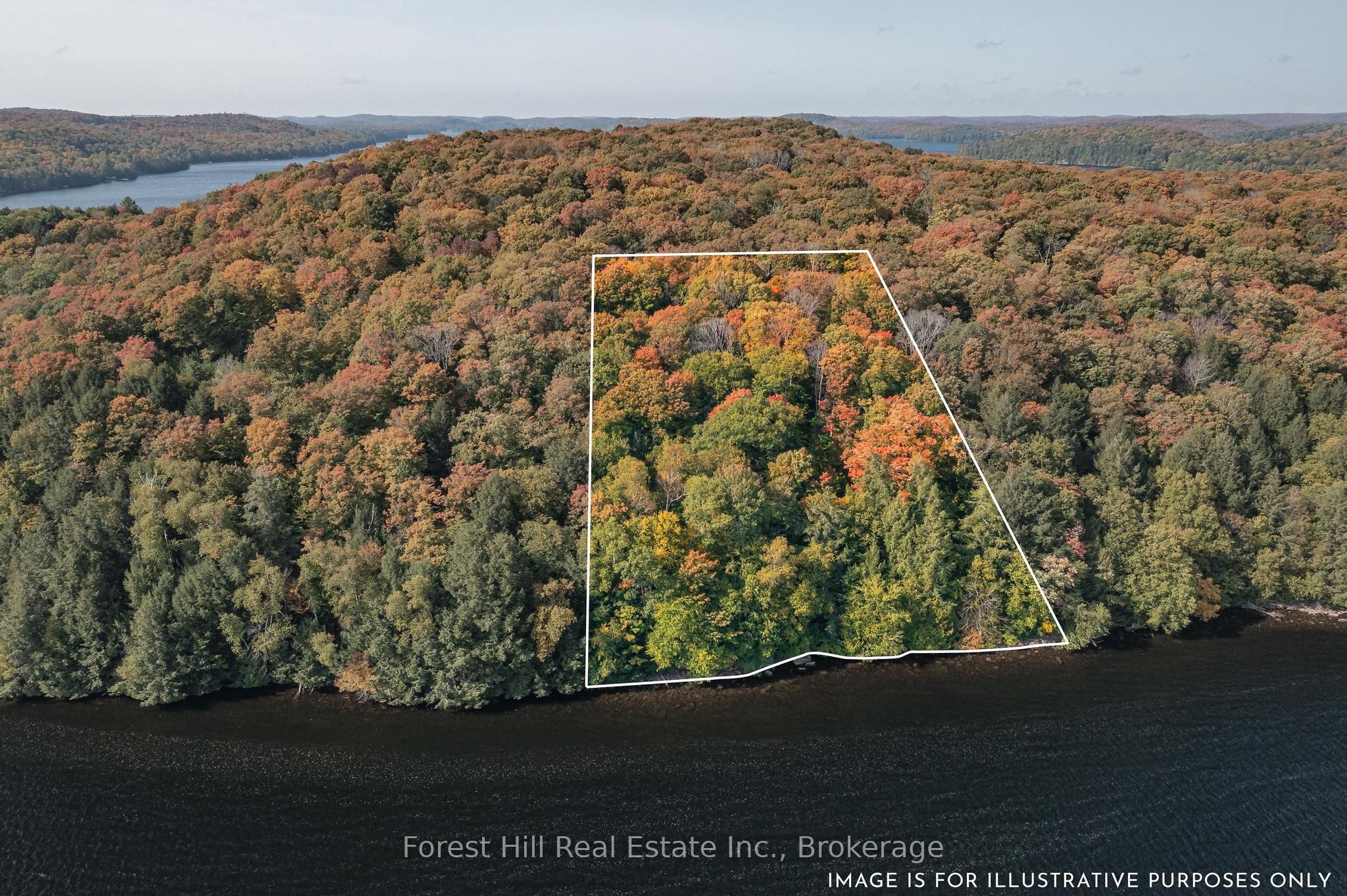 0 Bear Island Property Photo 6