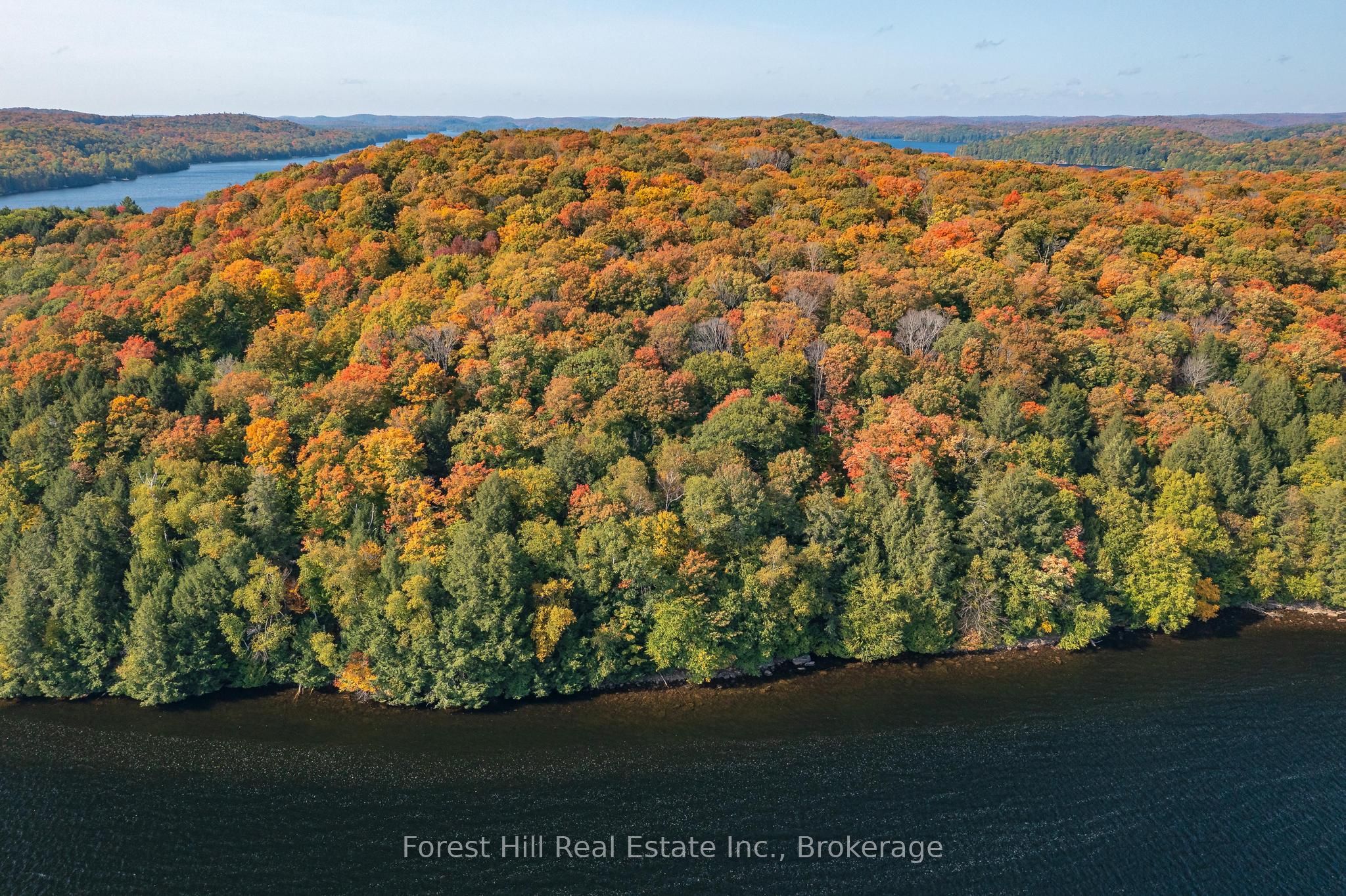 0 Bear Island Property Photo 7