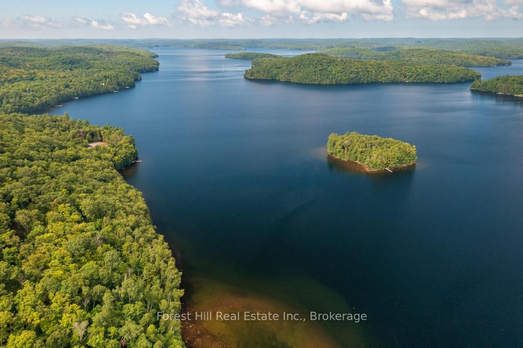 0 Bear Island Property Photo 13