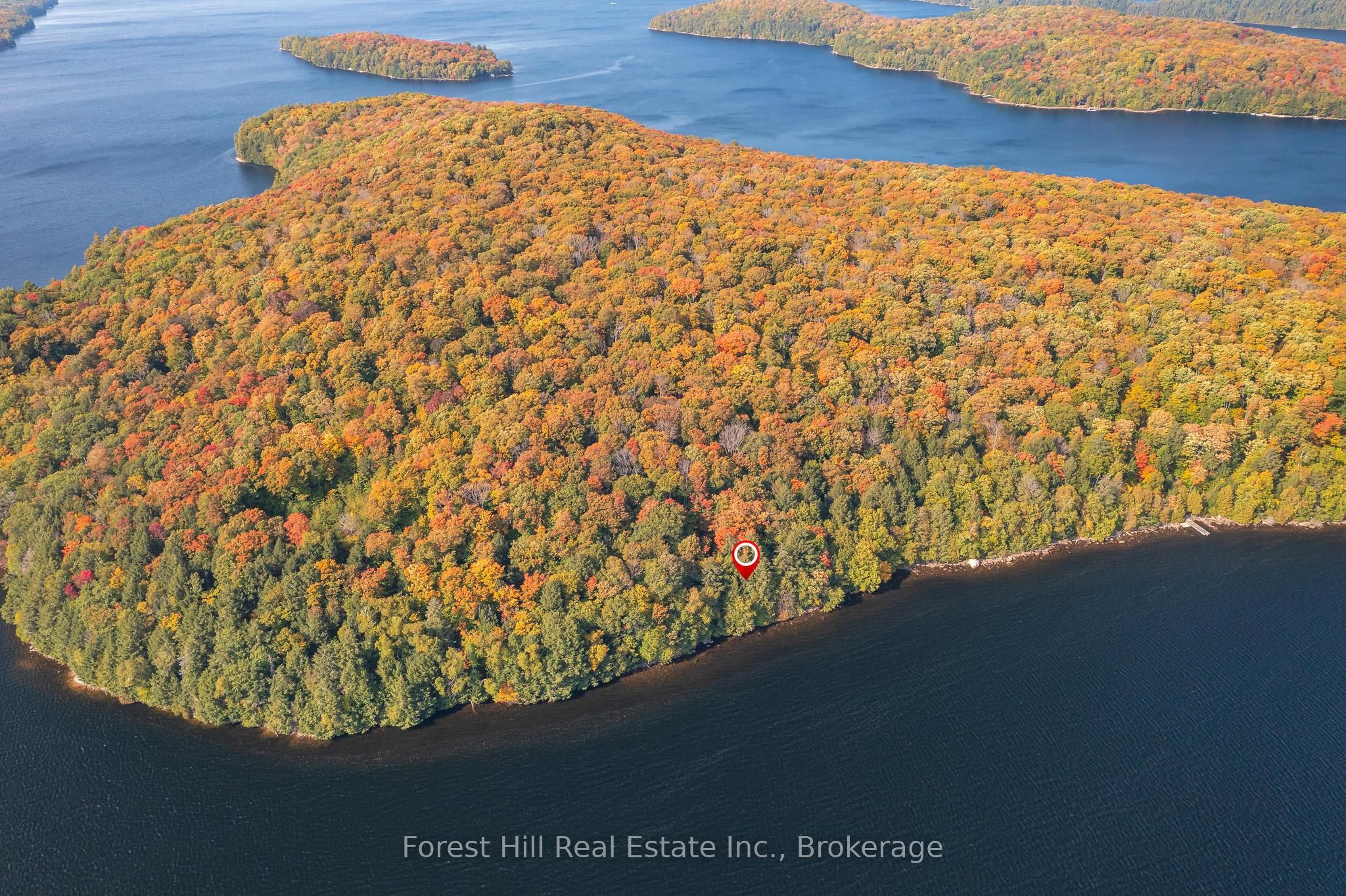 0 Bear Island Property Photo 17