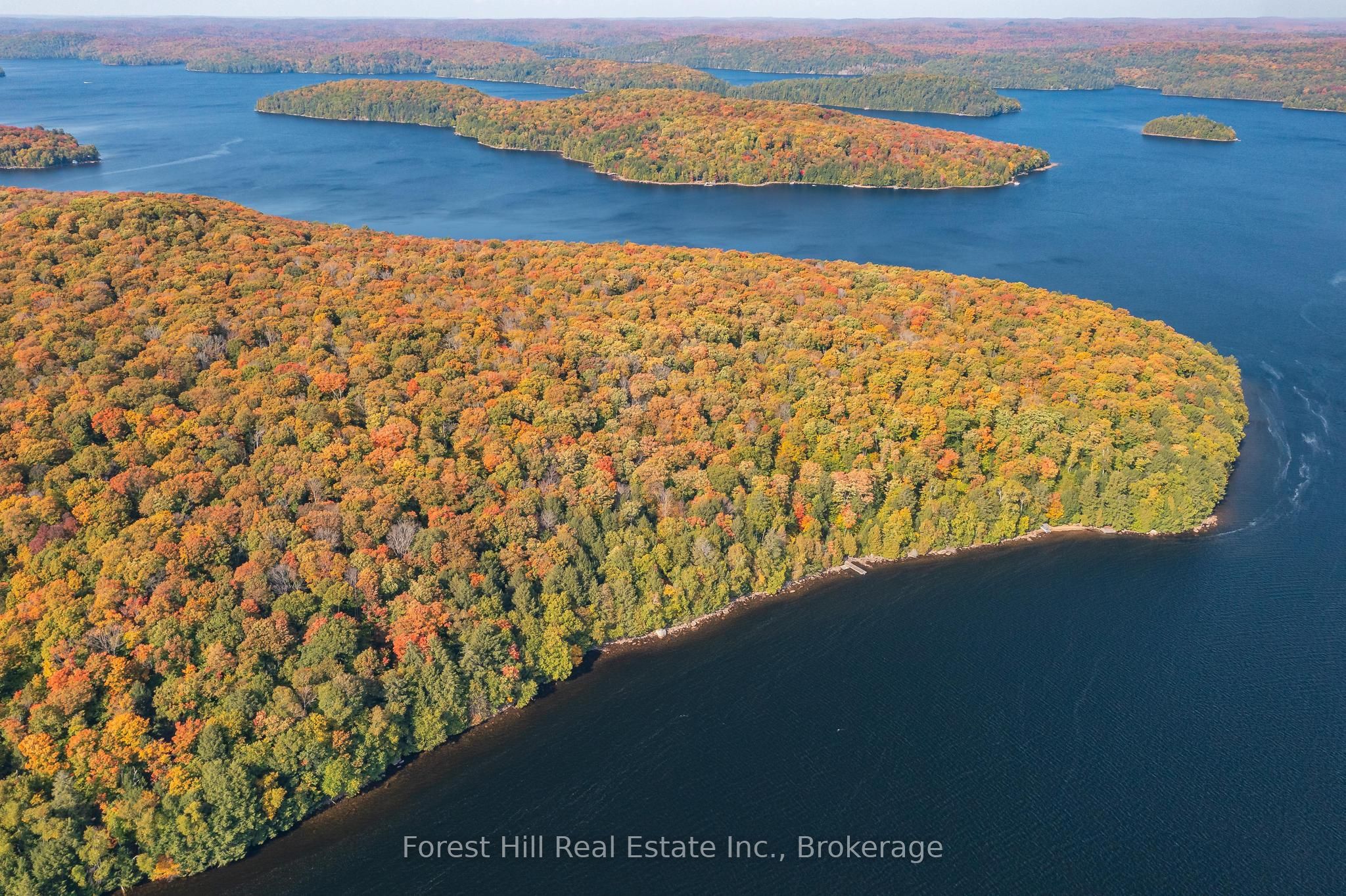 0 Bear Island Property Photo 20