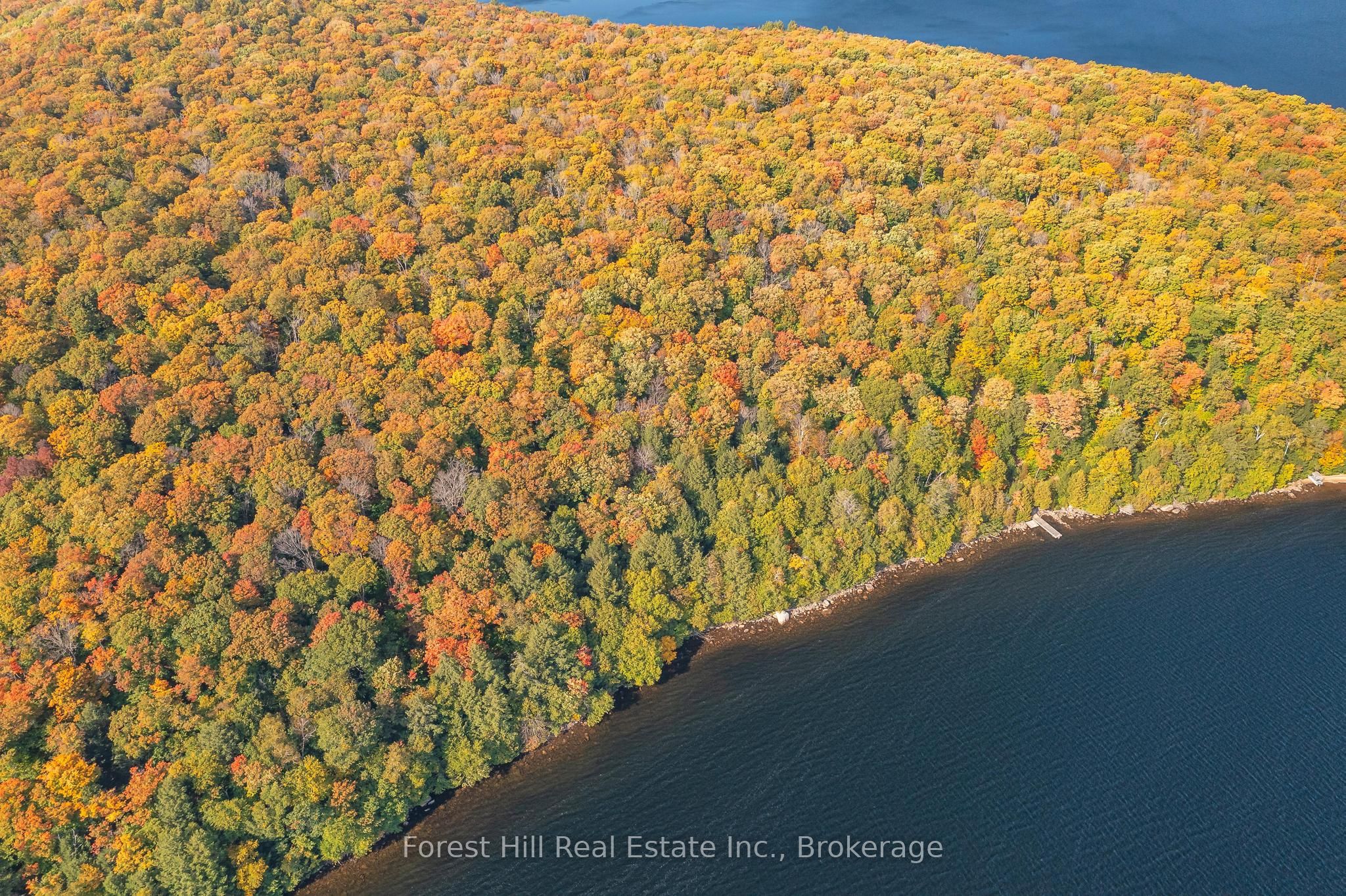 0 Bear Island Property Photo 21