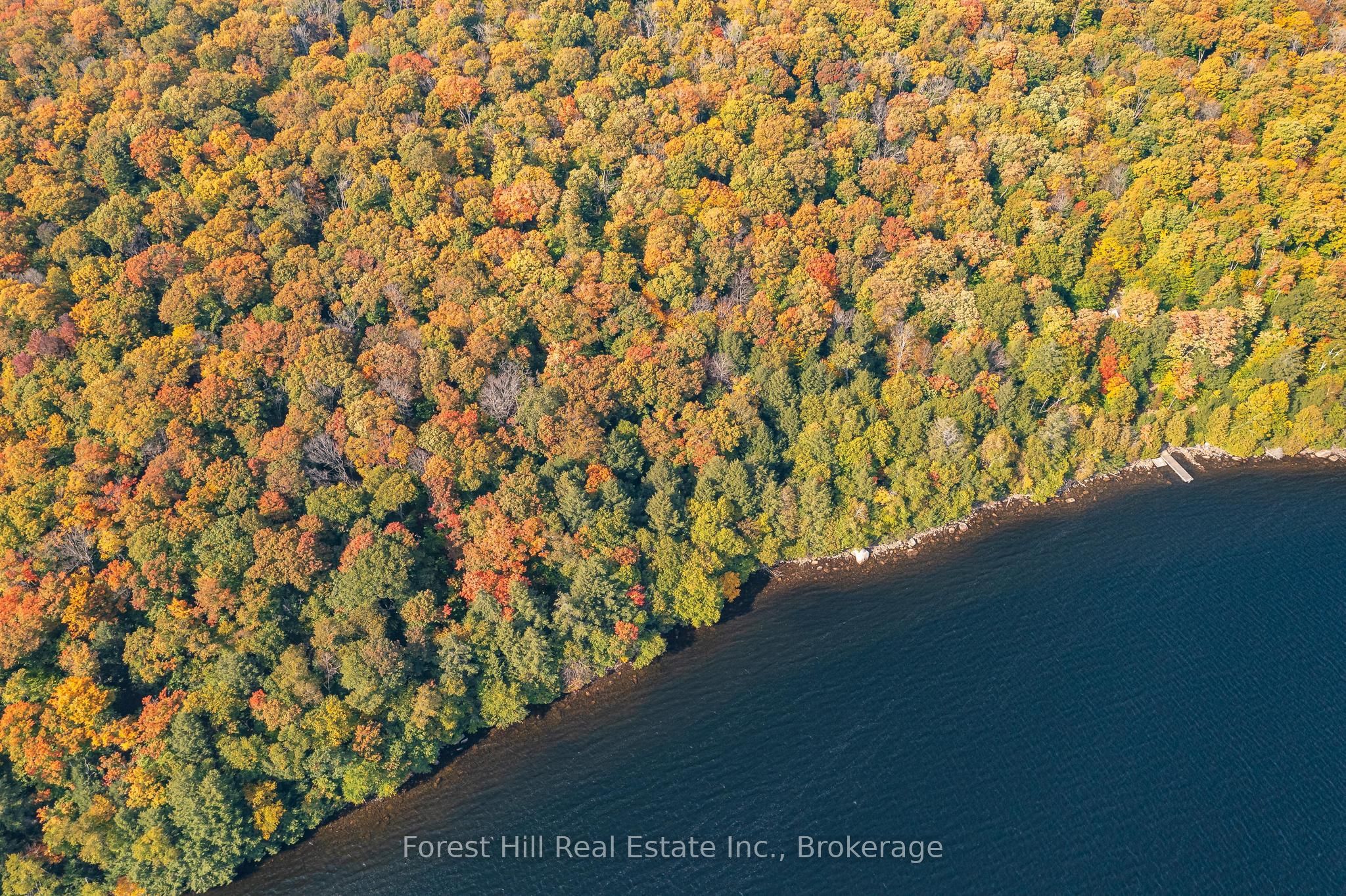 0 Bear Island Property Photo 23