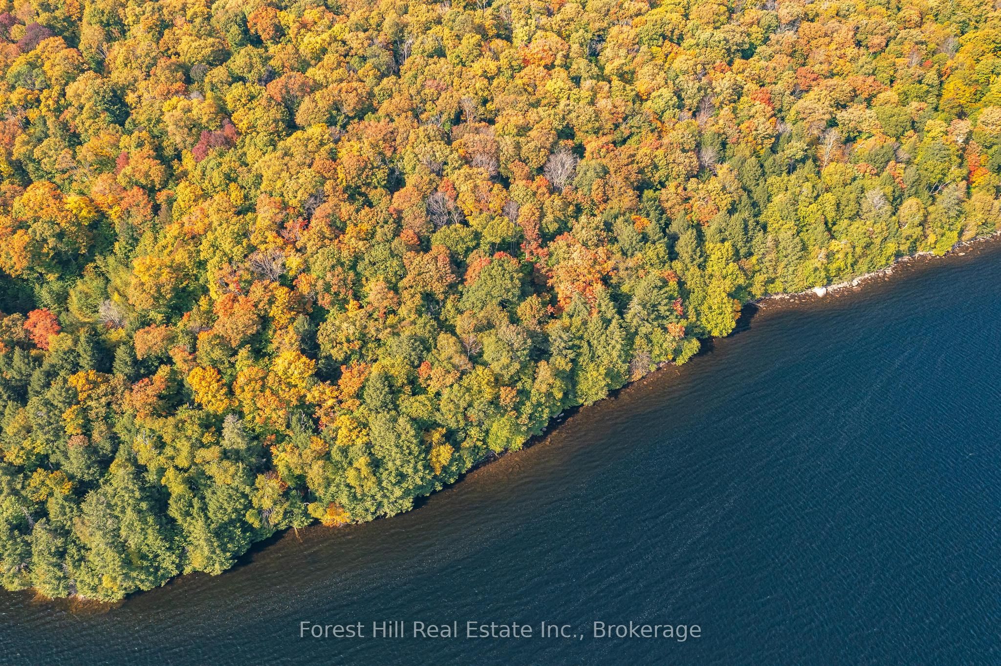 0 Bear Island Property Photo 31
