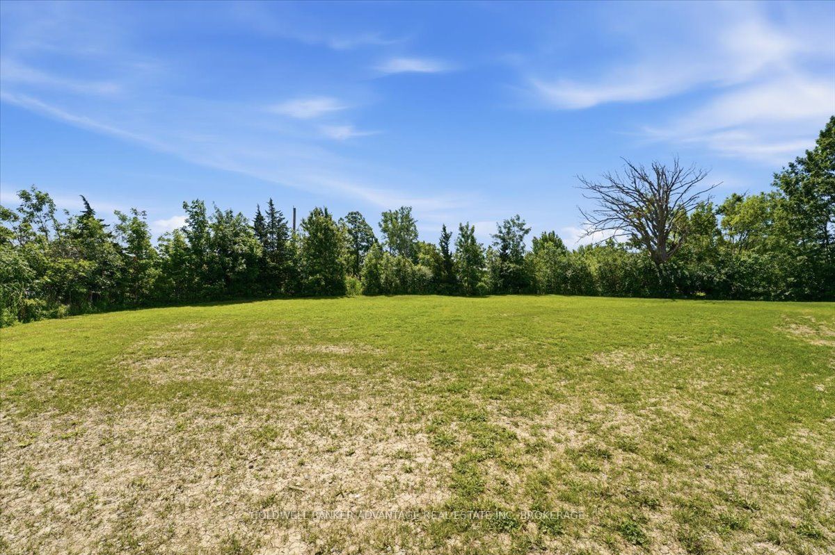 817 Doans Ridge Road Property Photo 7