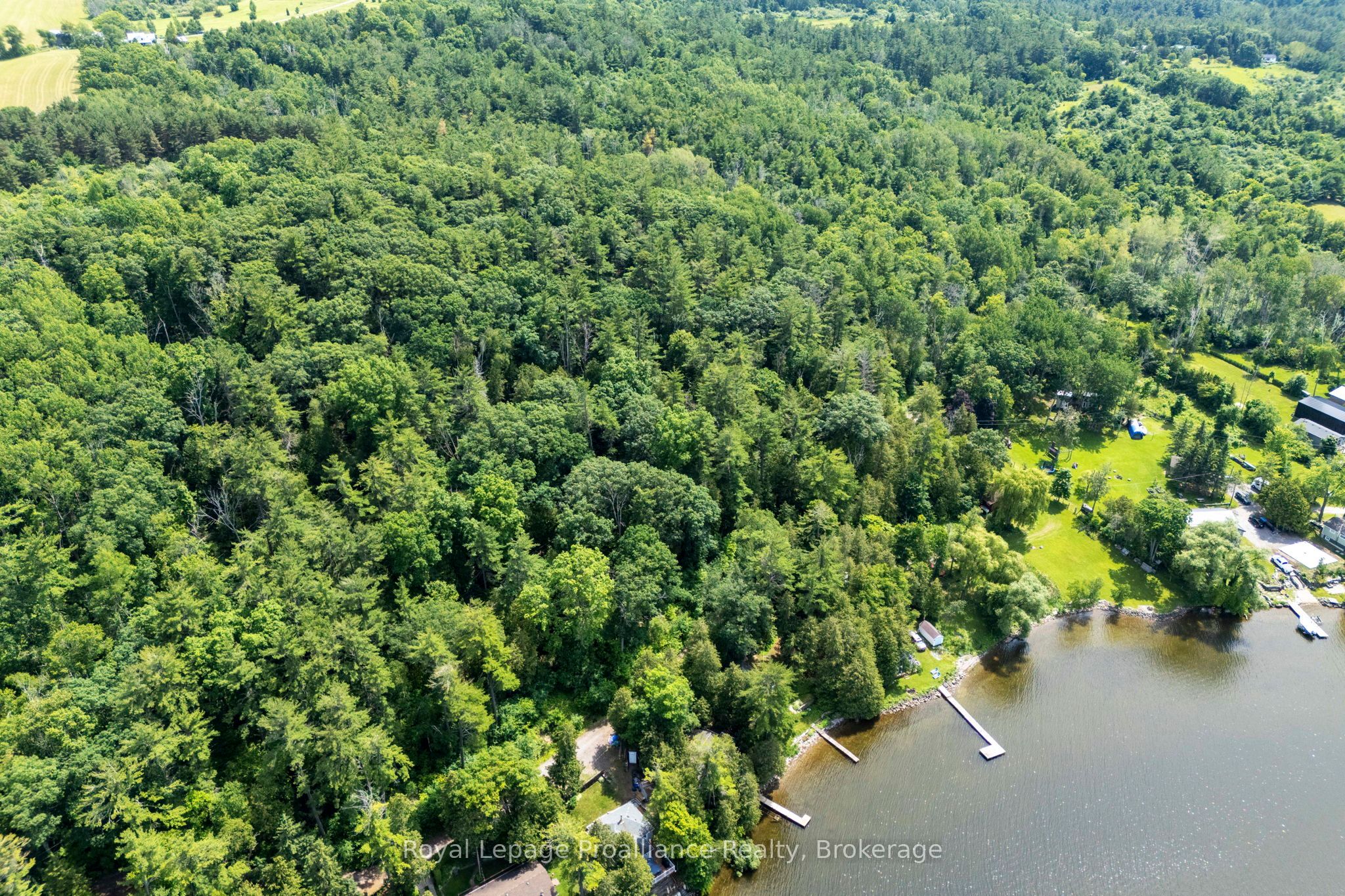 5248 King Road Property Photo 8