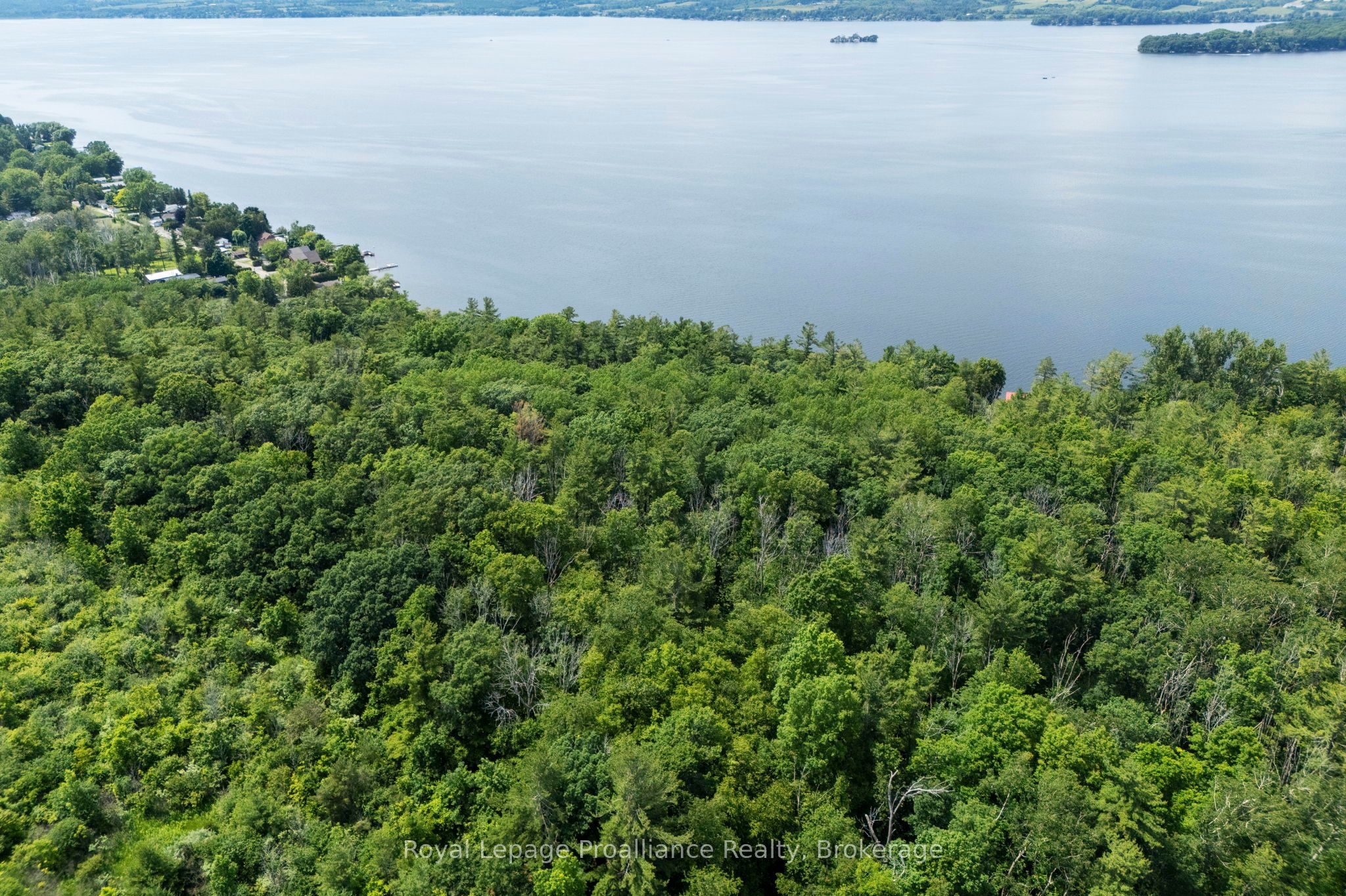 5248 King Road Property Photo 10