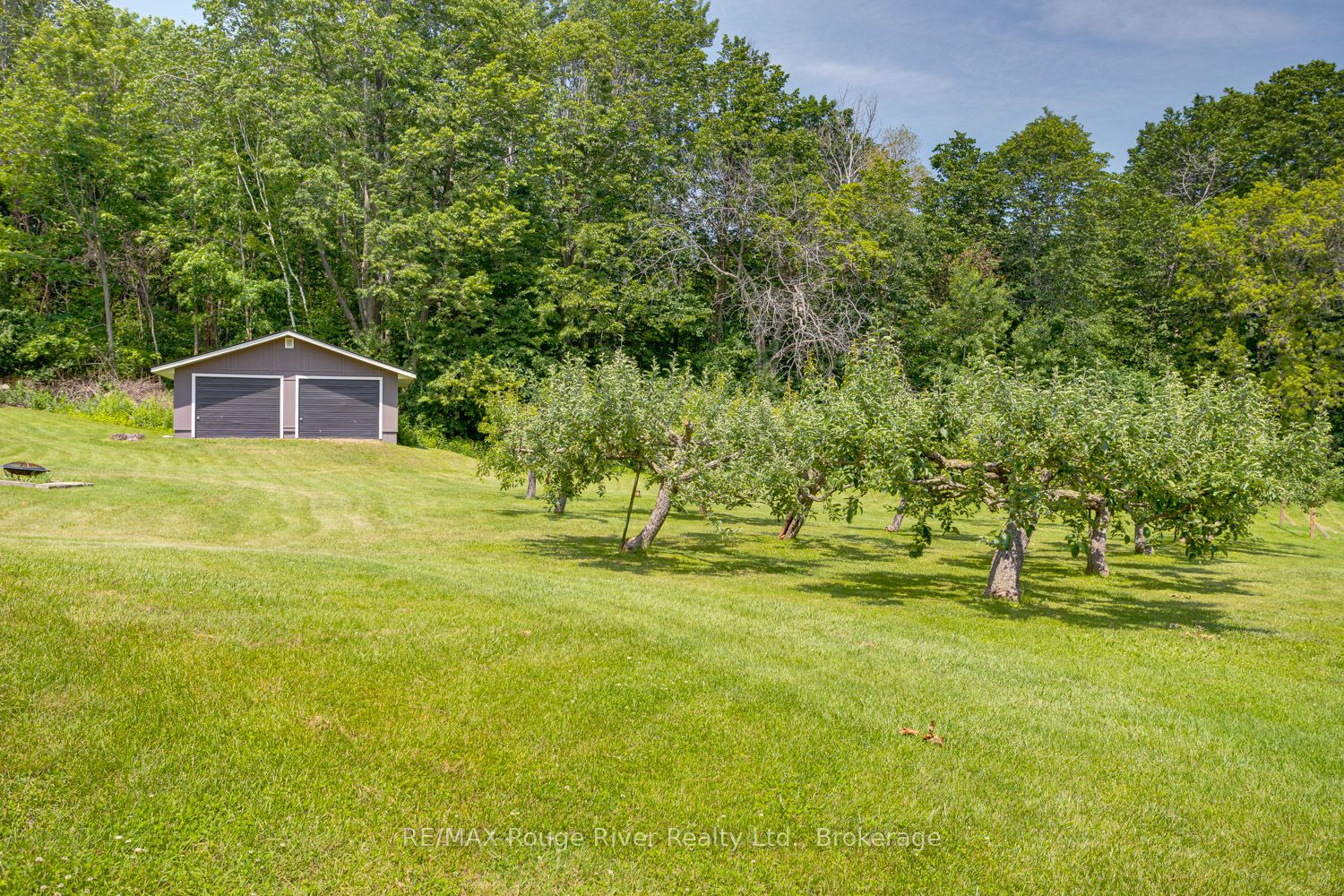 9780 County 2 Road Property Photo 41