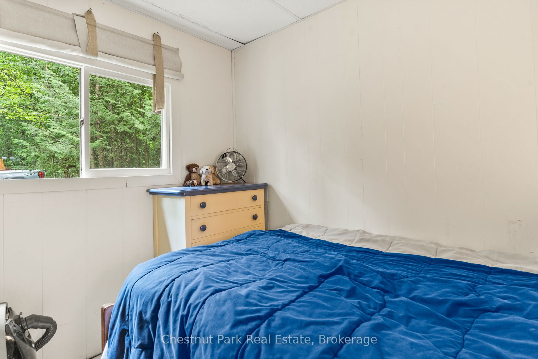 5278 Kennisis Lake Road Property Photo 22